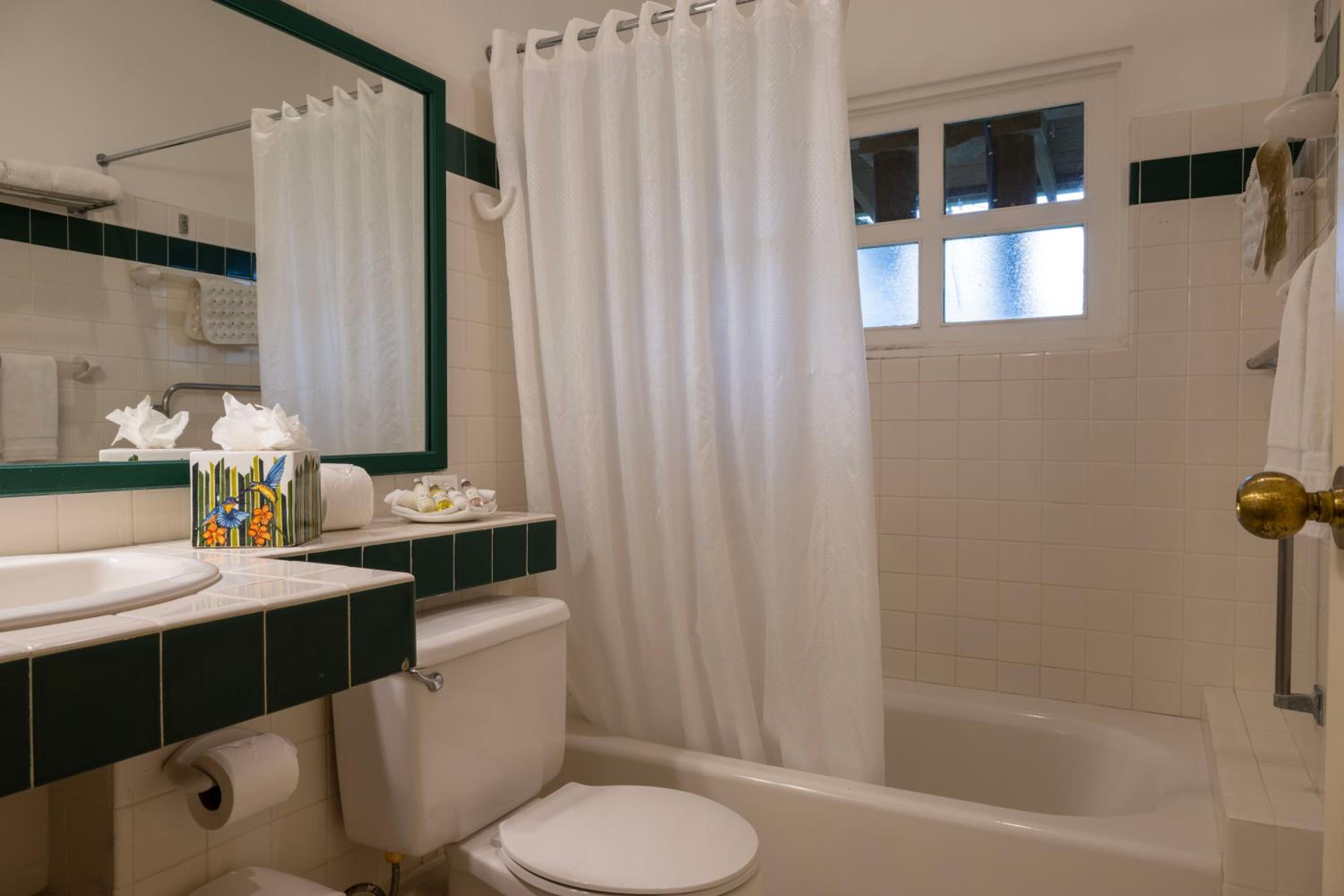Deluxe King Room - Photo 8