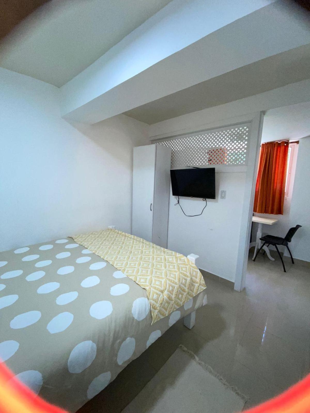 One-Bedroom Apartment photo 3
