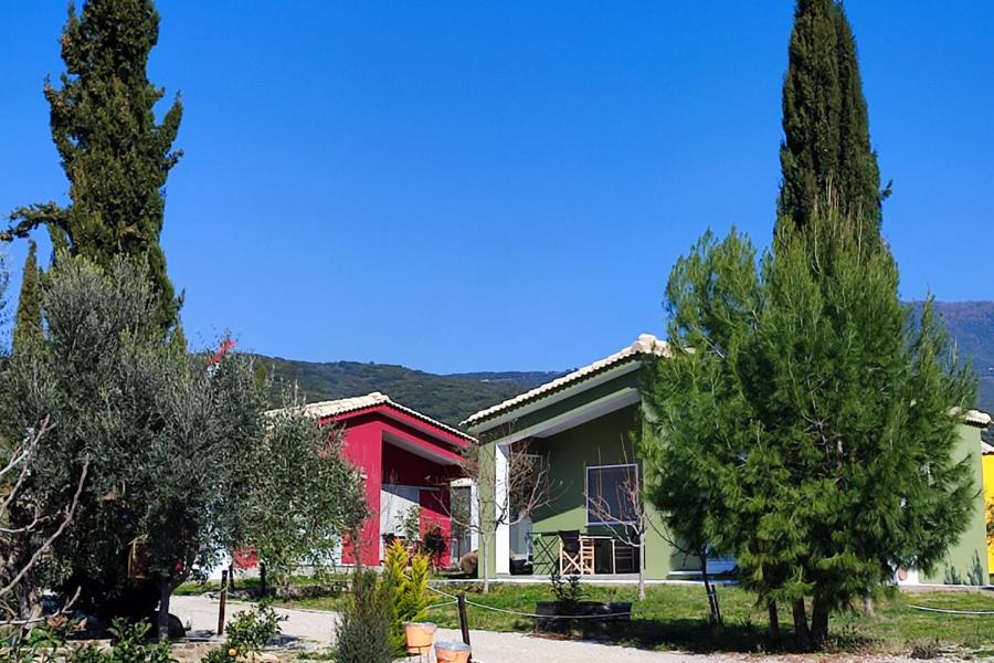 Bungalow with Garden View - Photo 6