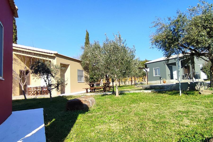 Family Bungalow - Photo 6