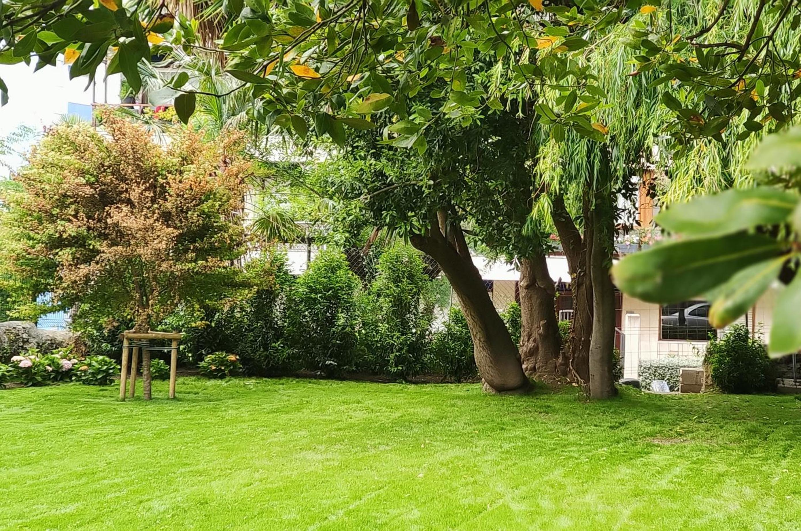 Studio with Garden View photo 2