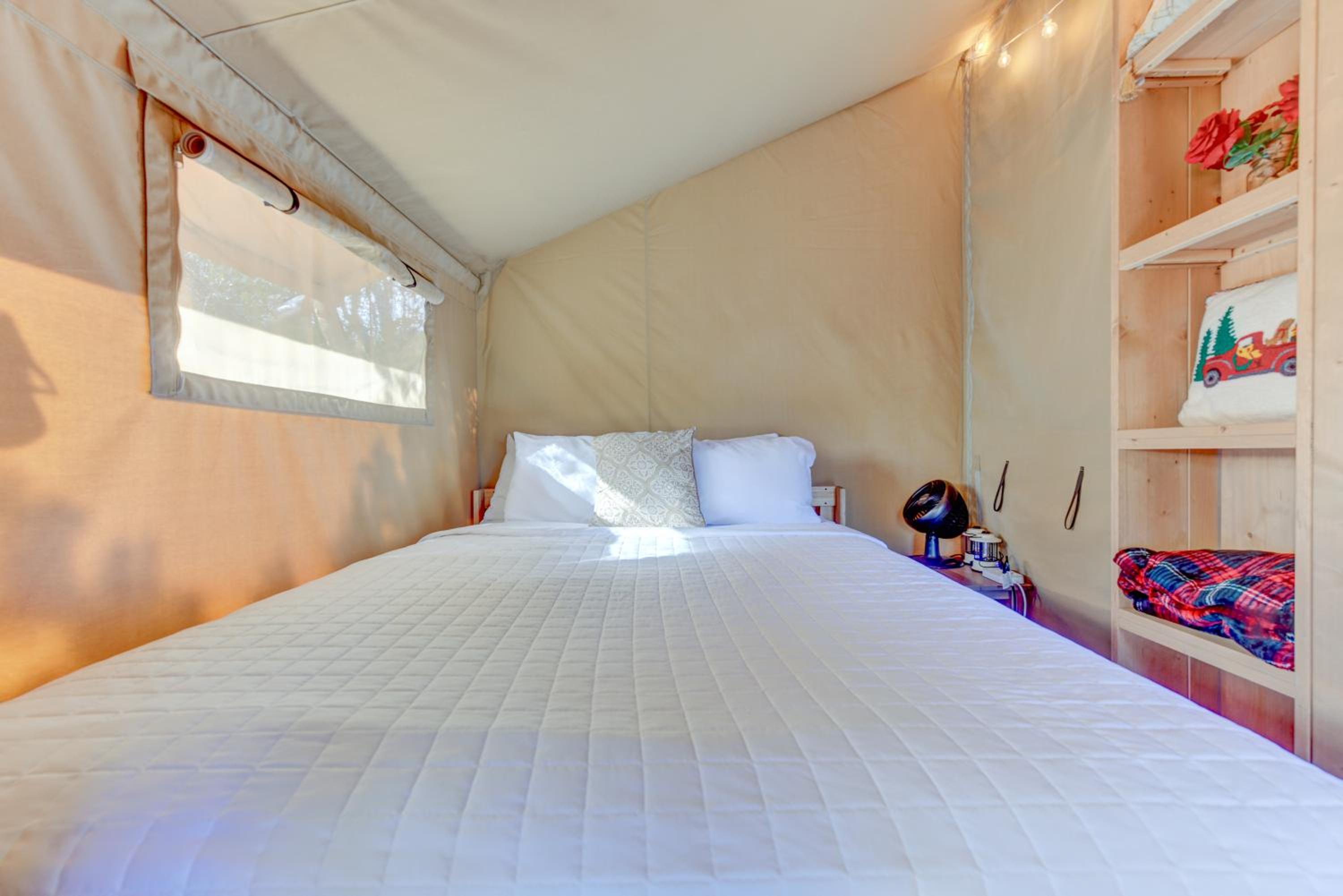 Tent photo 1
