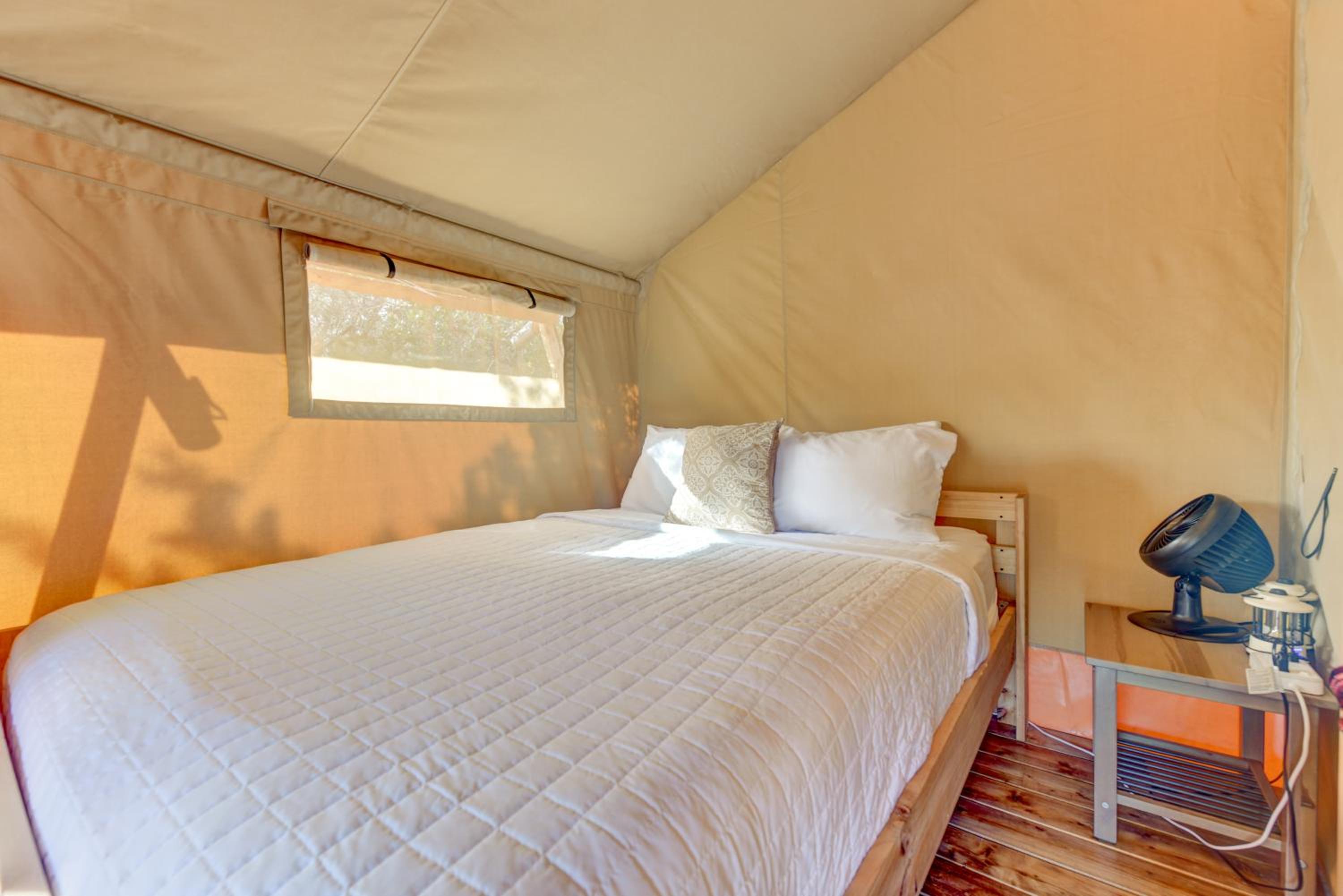 Tent photo 3
