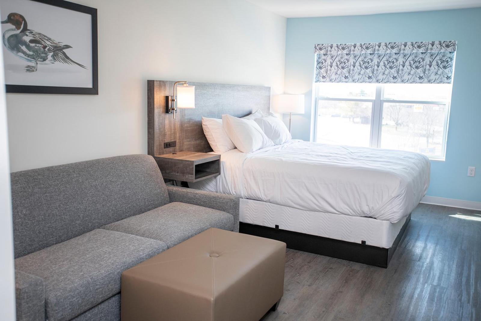 Deluxe King Suite