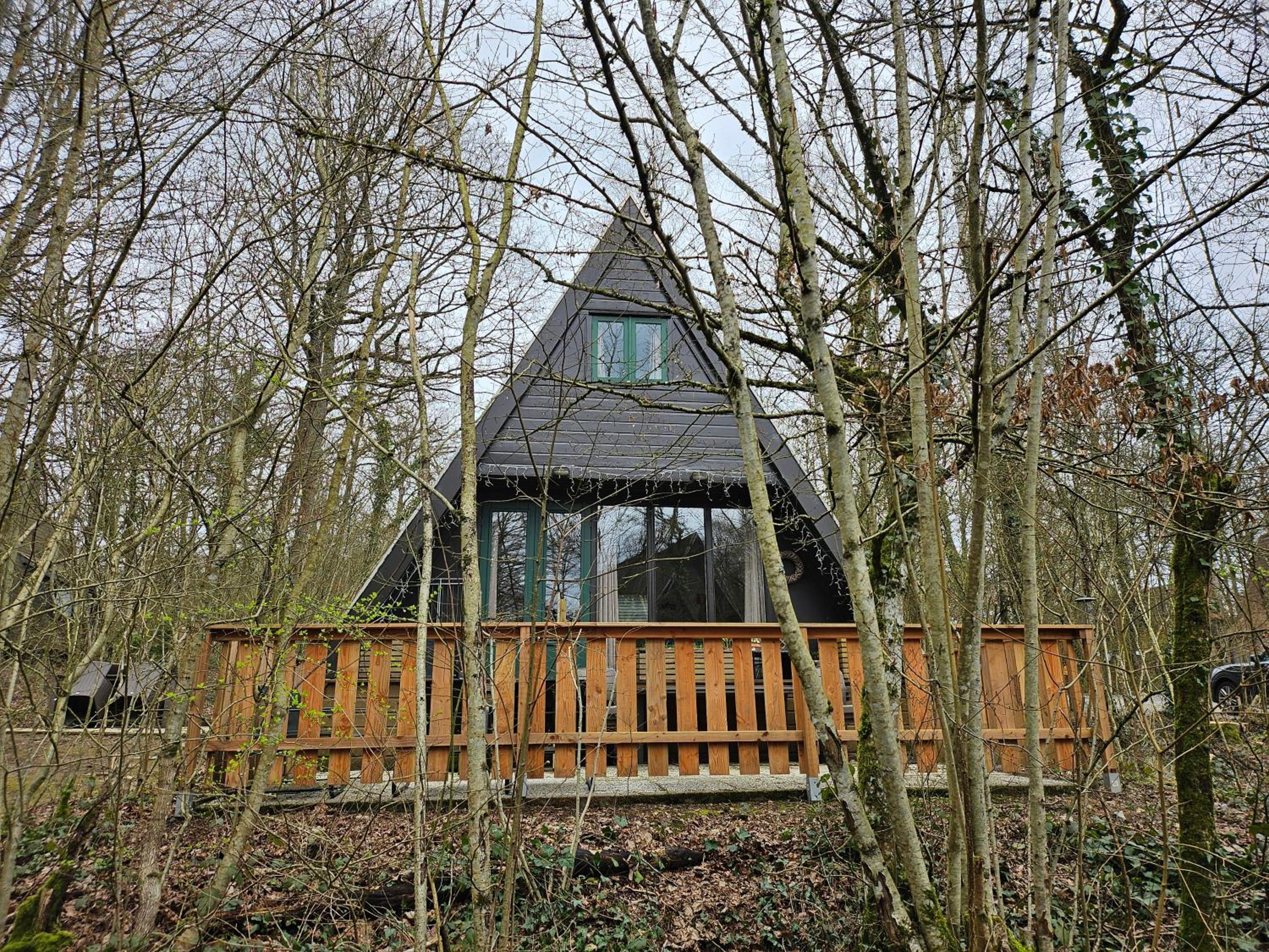 Three-Bedroom Chalet photo 3