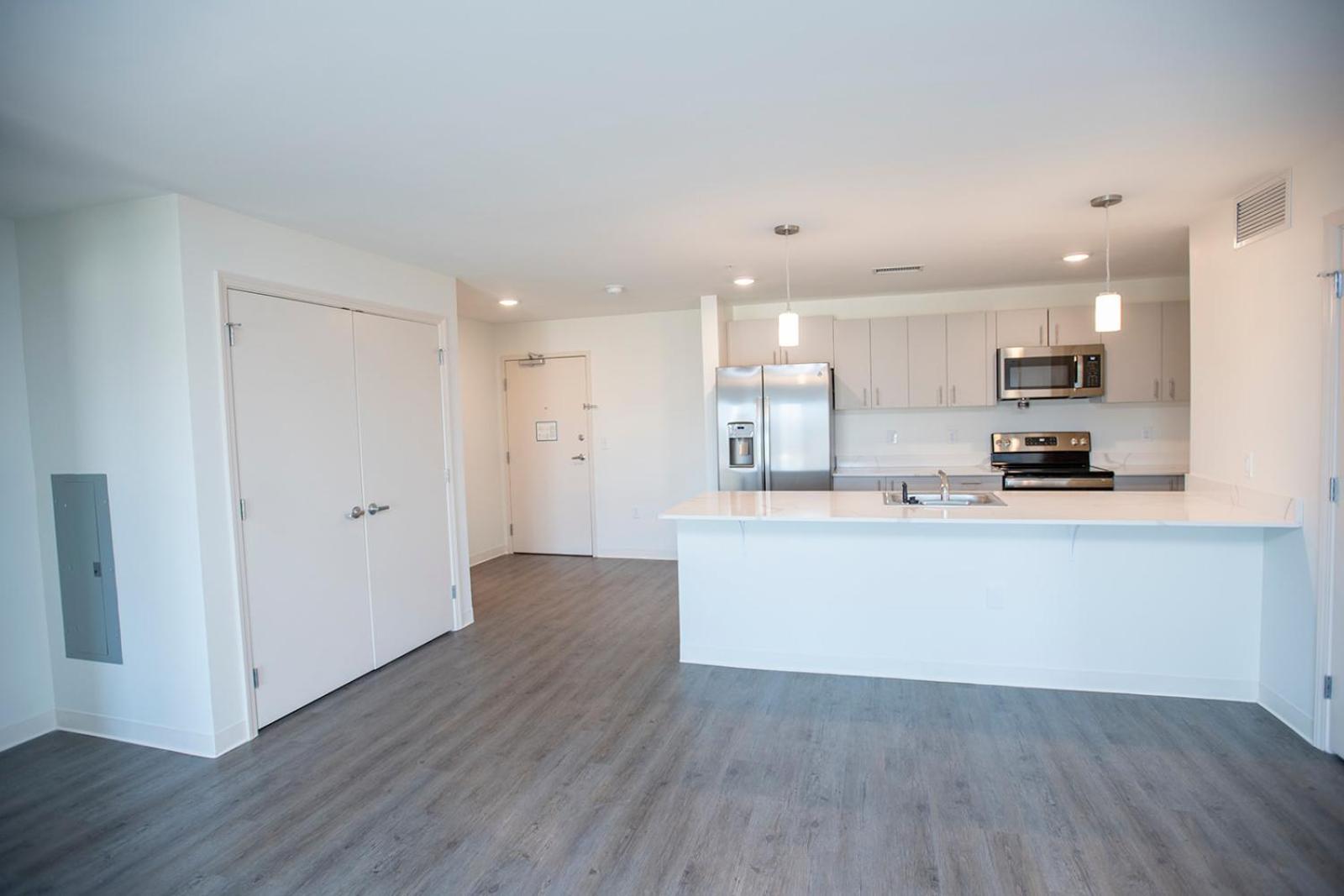 Classic One-Bedroom Apartment with King Bed photo 2