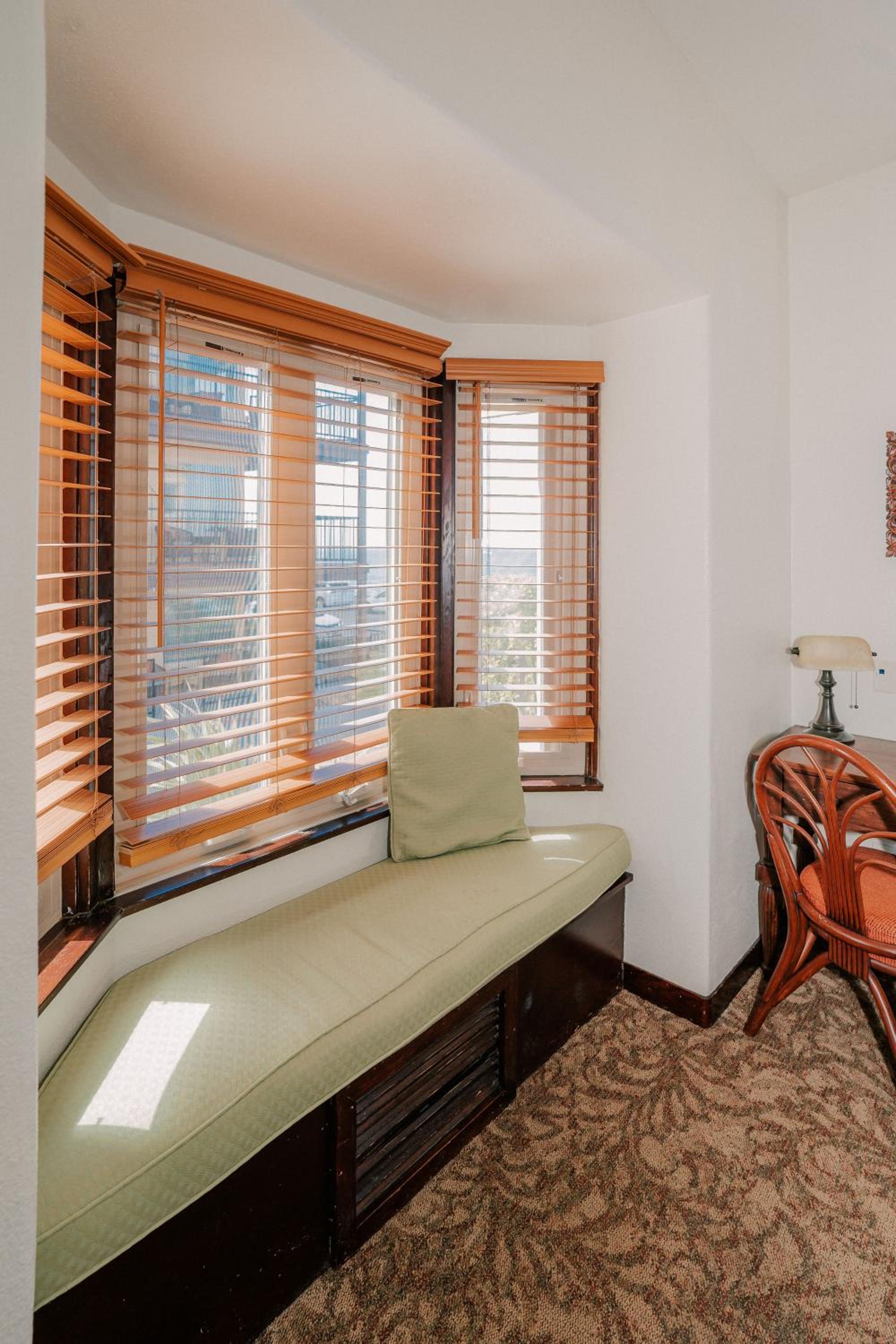 Suite - Photo 1