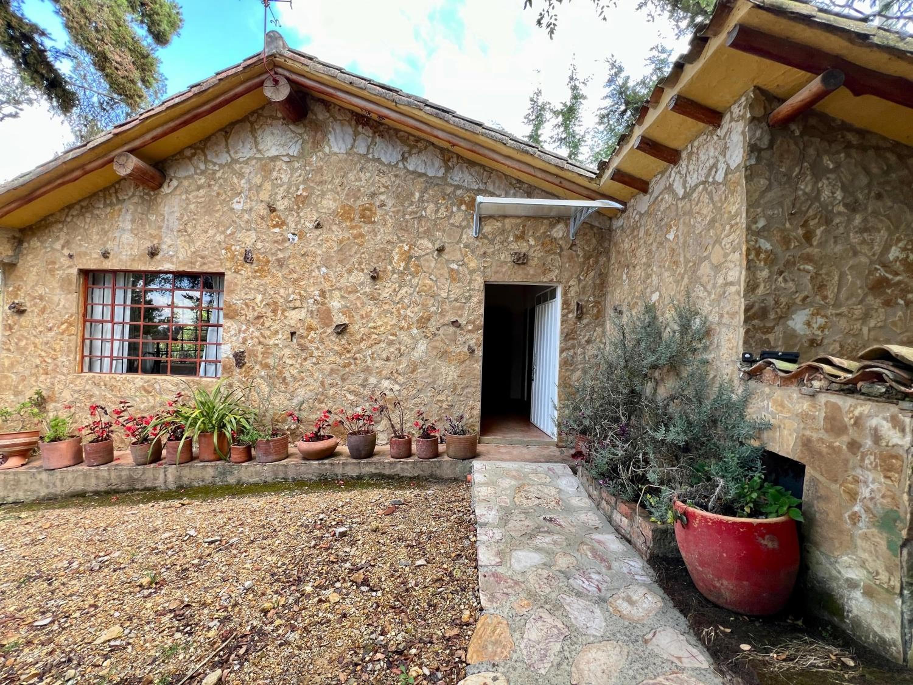 One-Bedroom Villa photo 3
