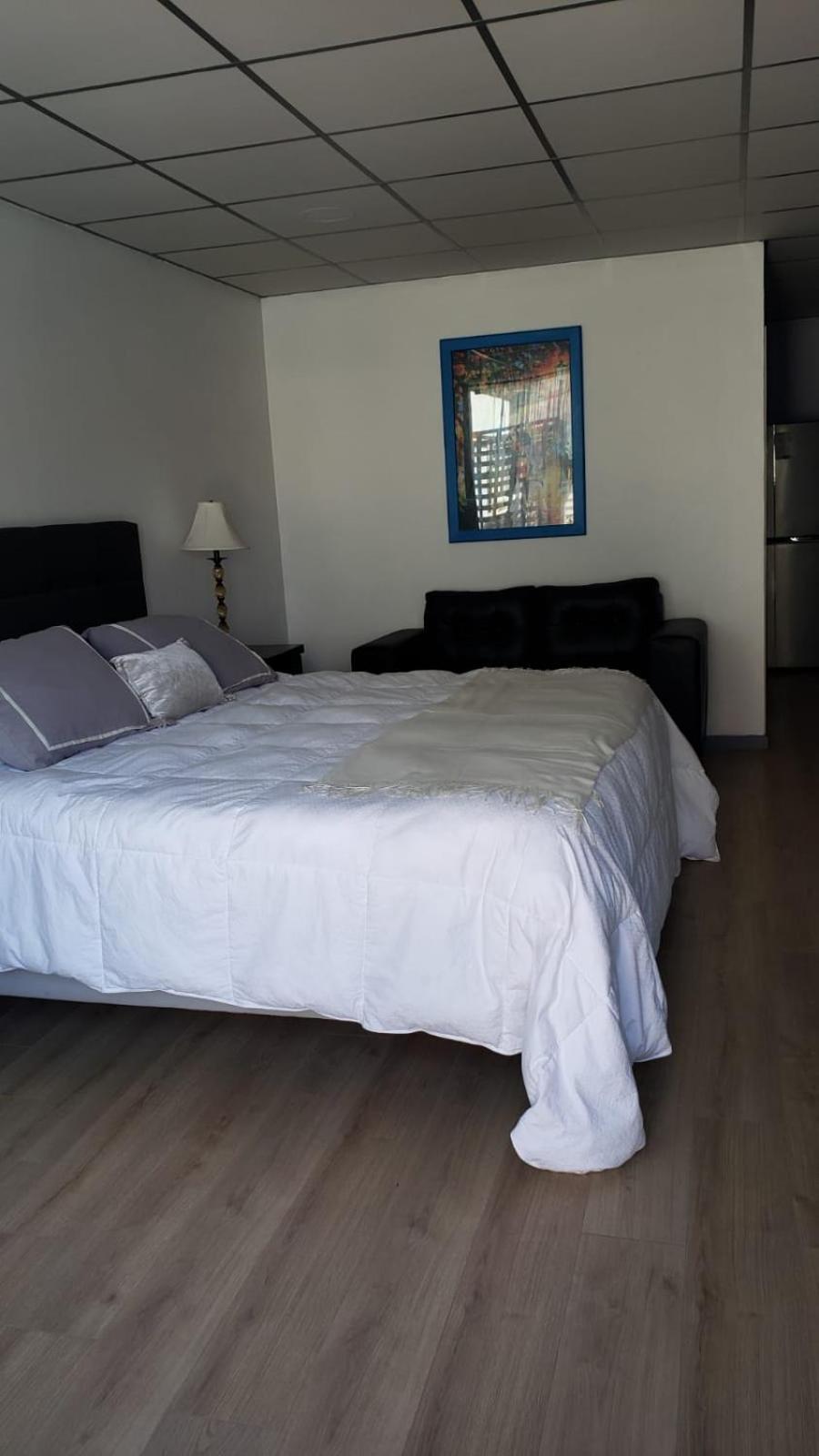 King Room photo 2