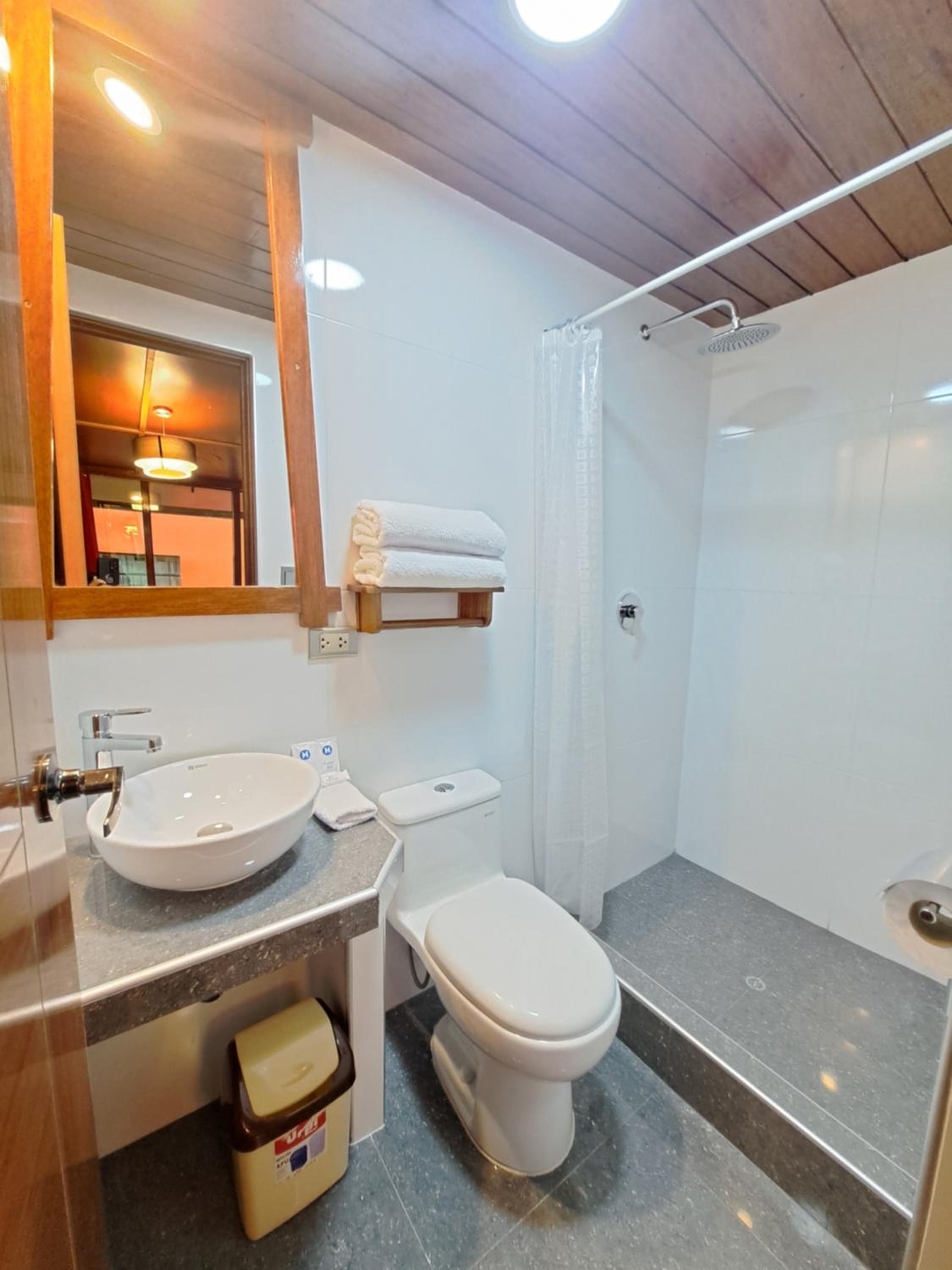 Large Double Room photo 3