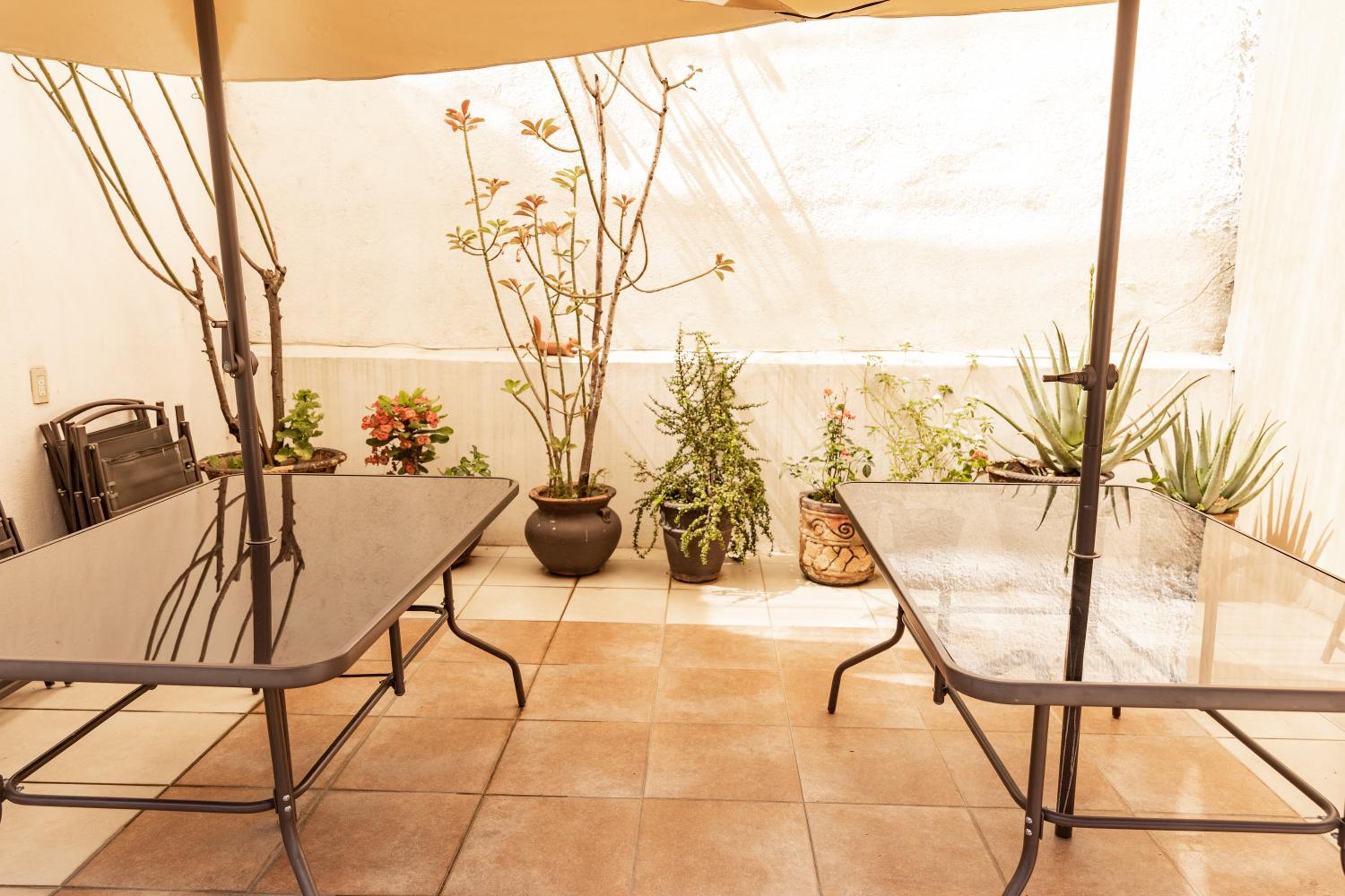 Apartment - Ground Floor - Photo 16