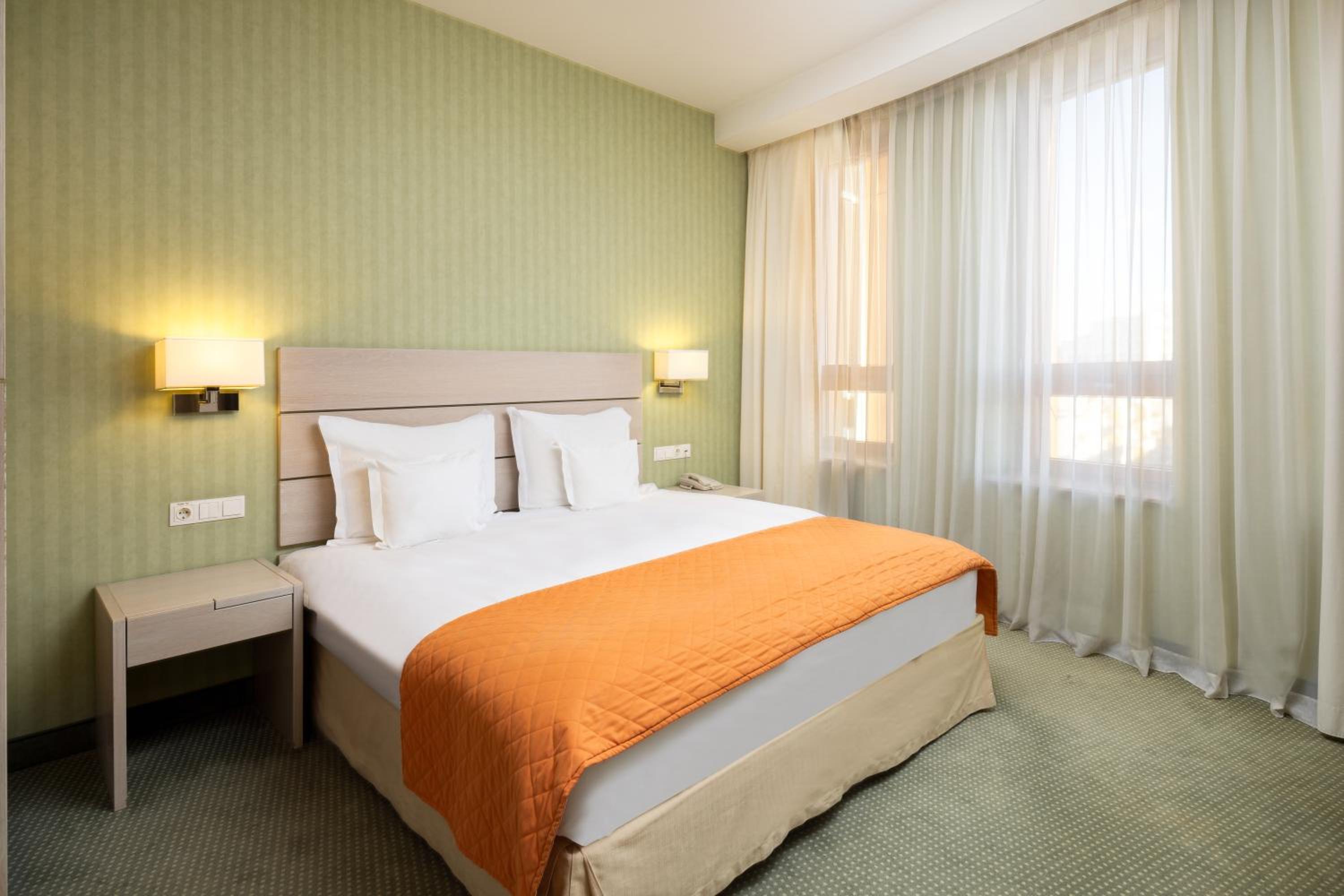 Deluxe King Room - Photo 9