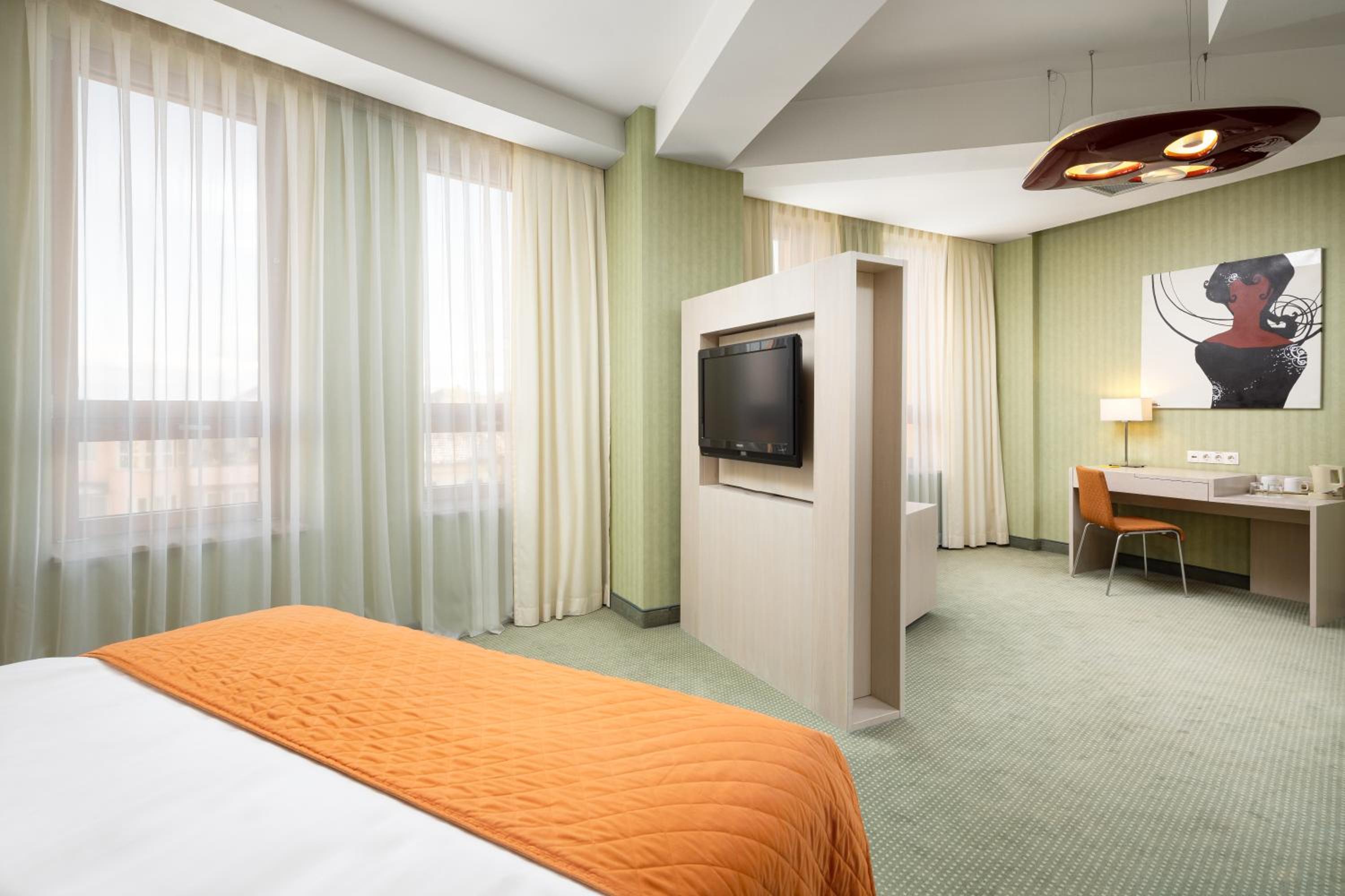 Deluxe King Room - Photo 10