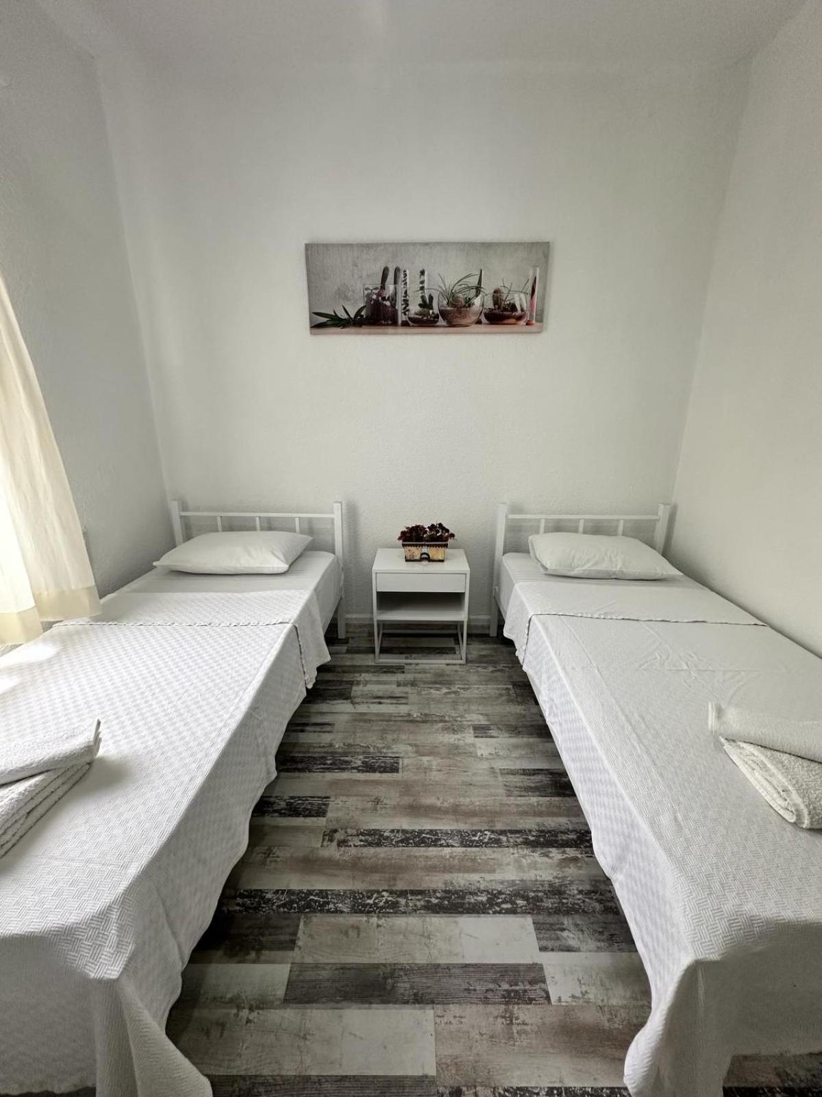 Single Room photo 3