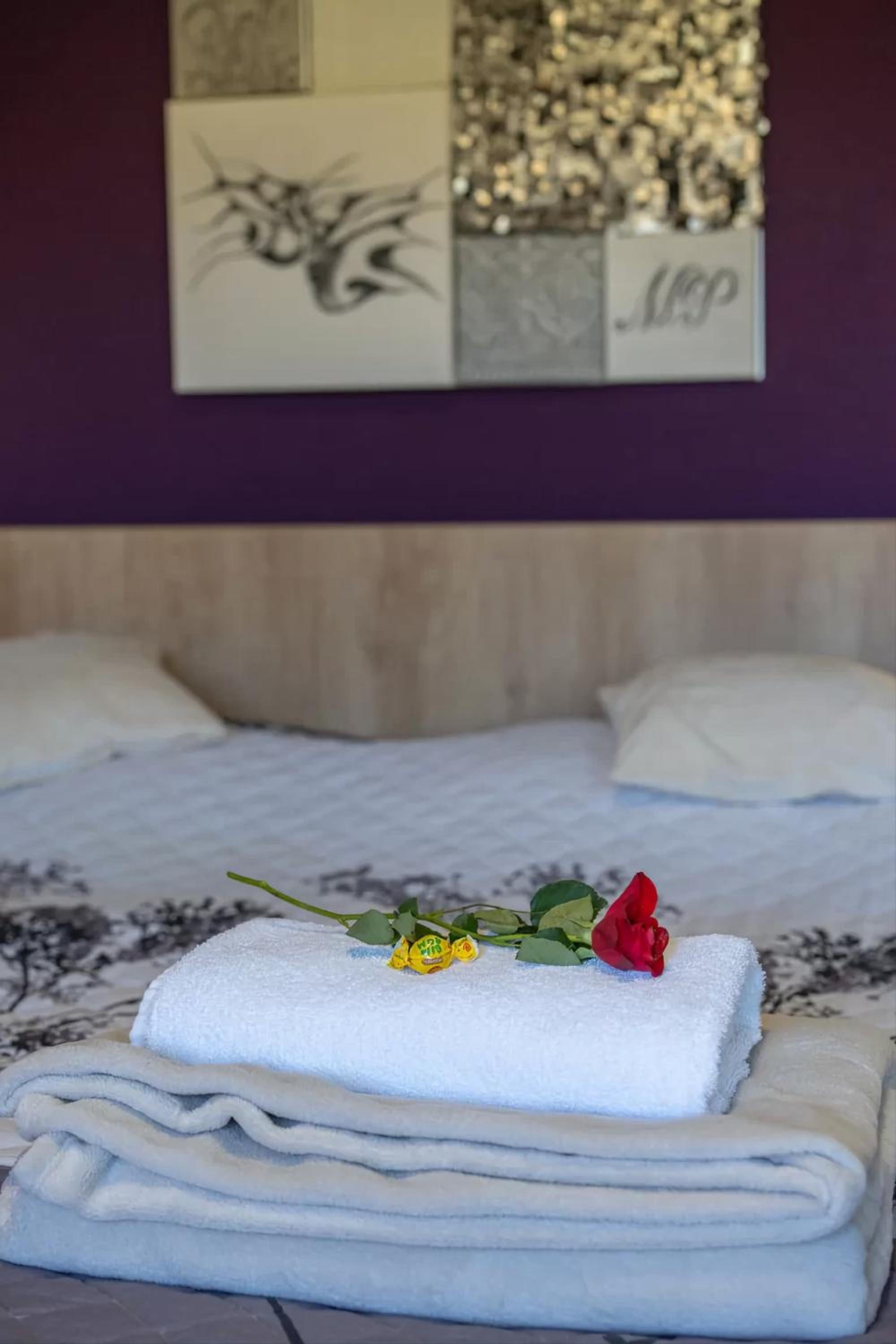 Deluxe Double Room - Photo 11