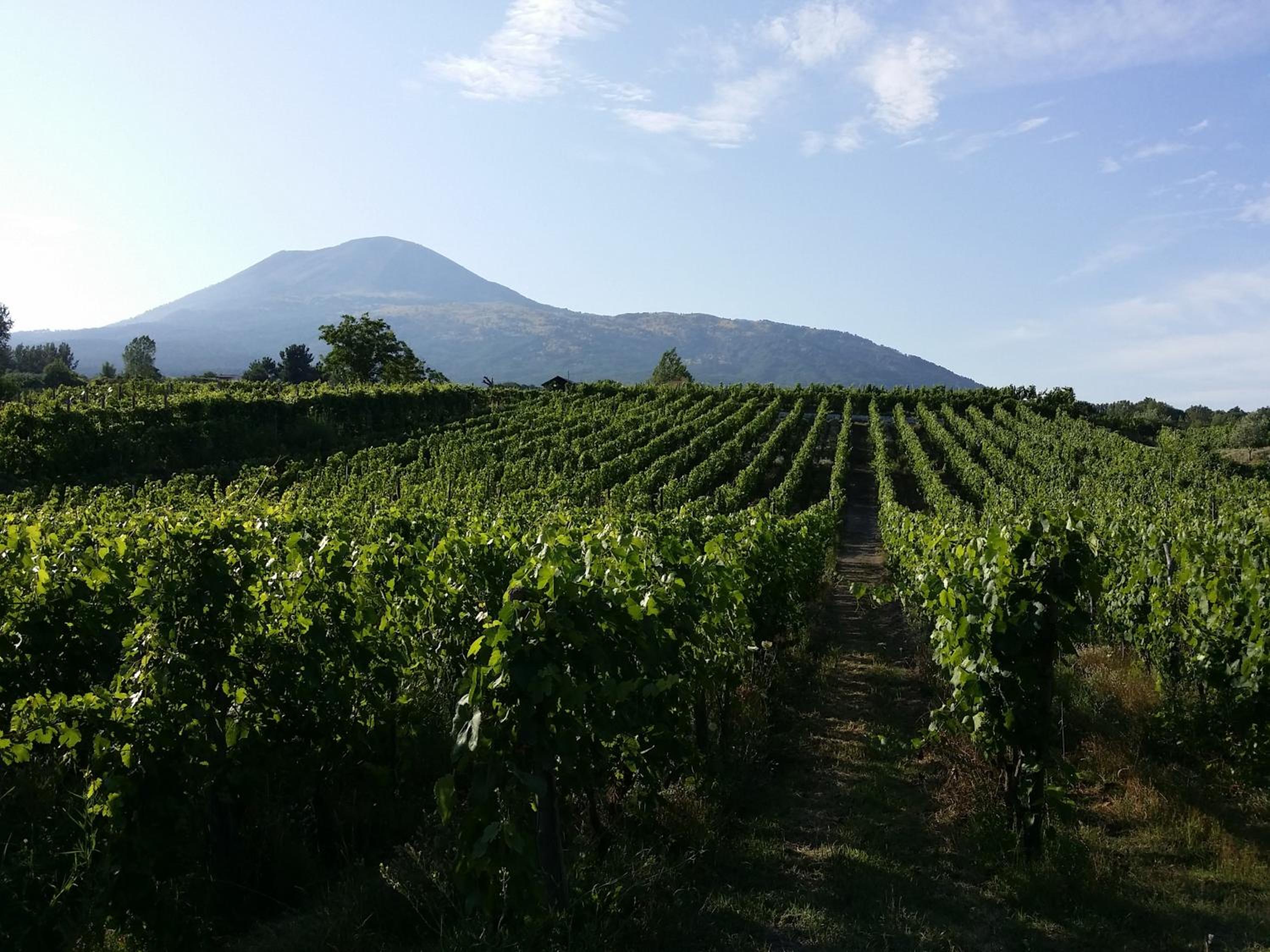 Studio with Mountain View photo 3