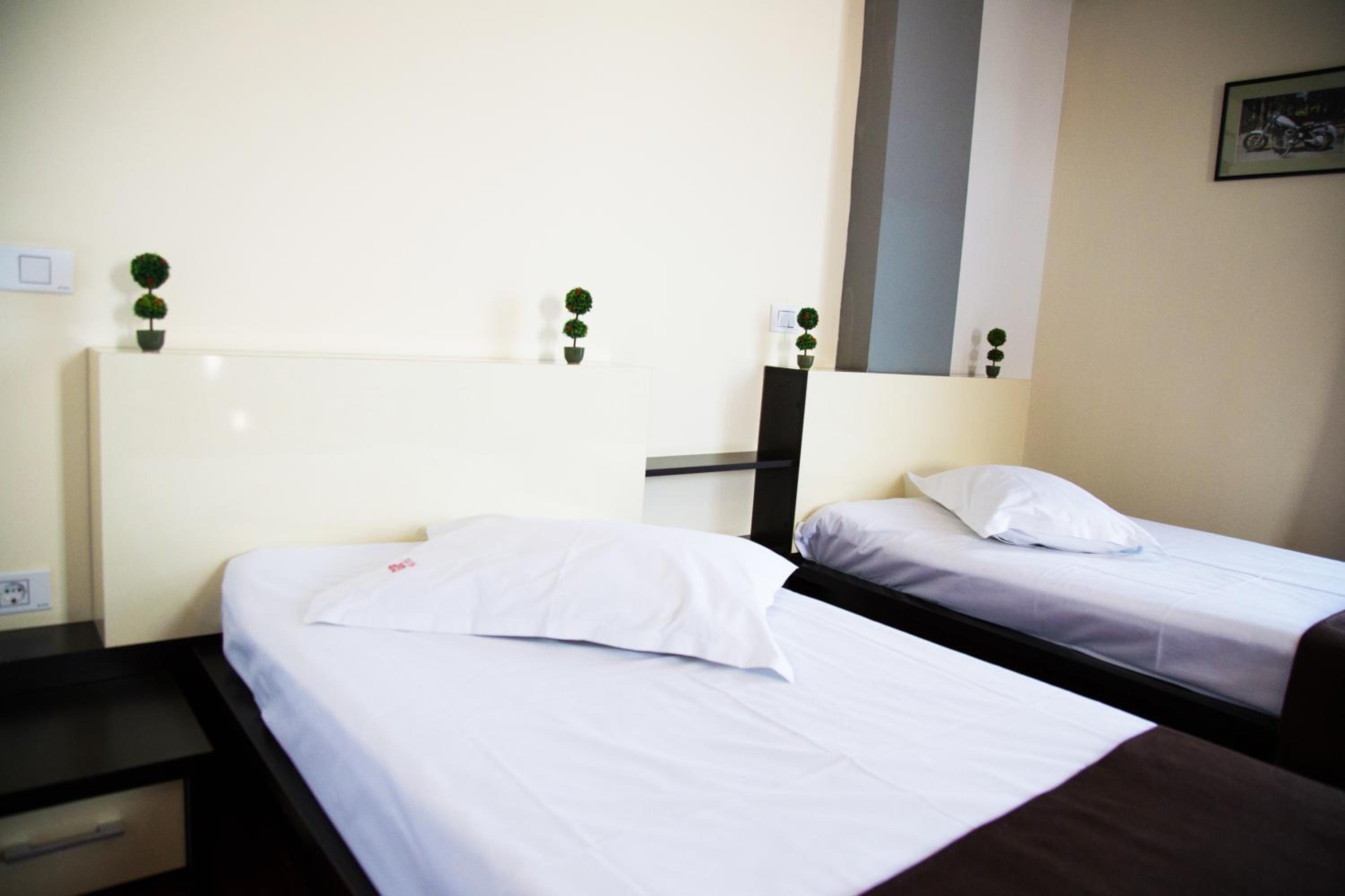 Twin Room photo 2