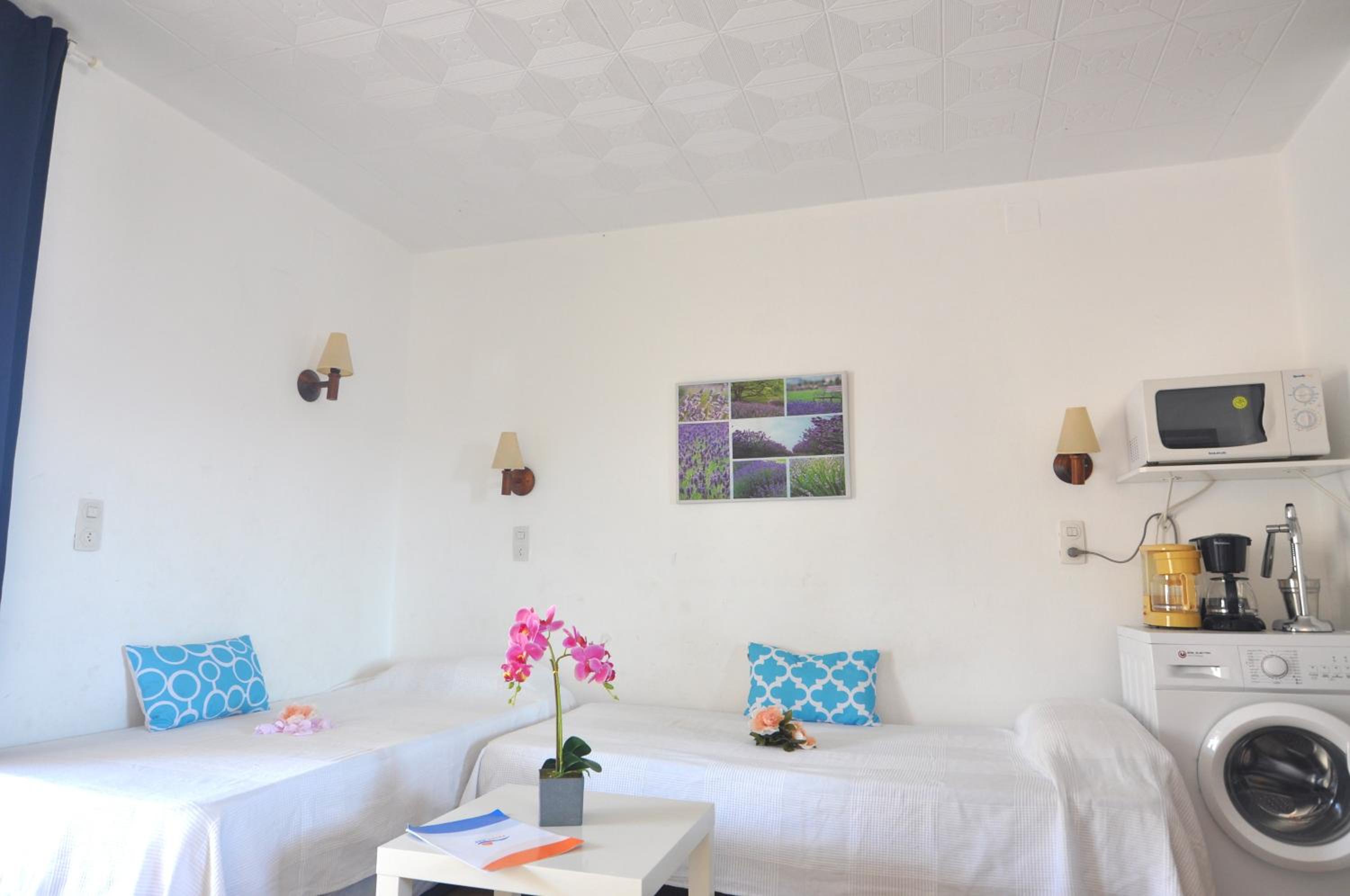 Estudio con terraza