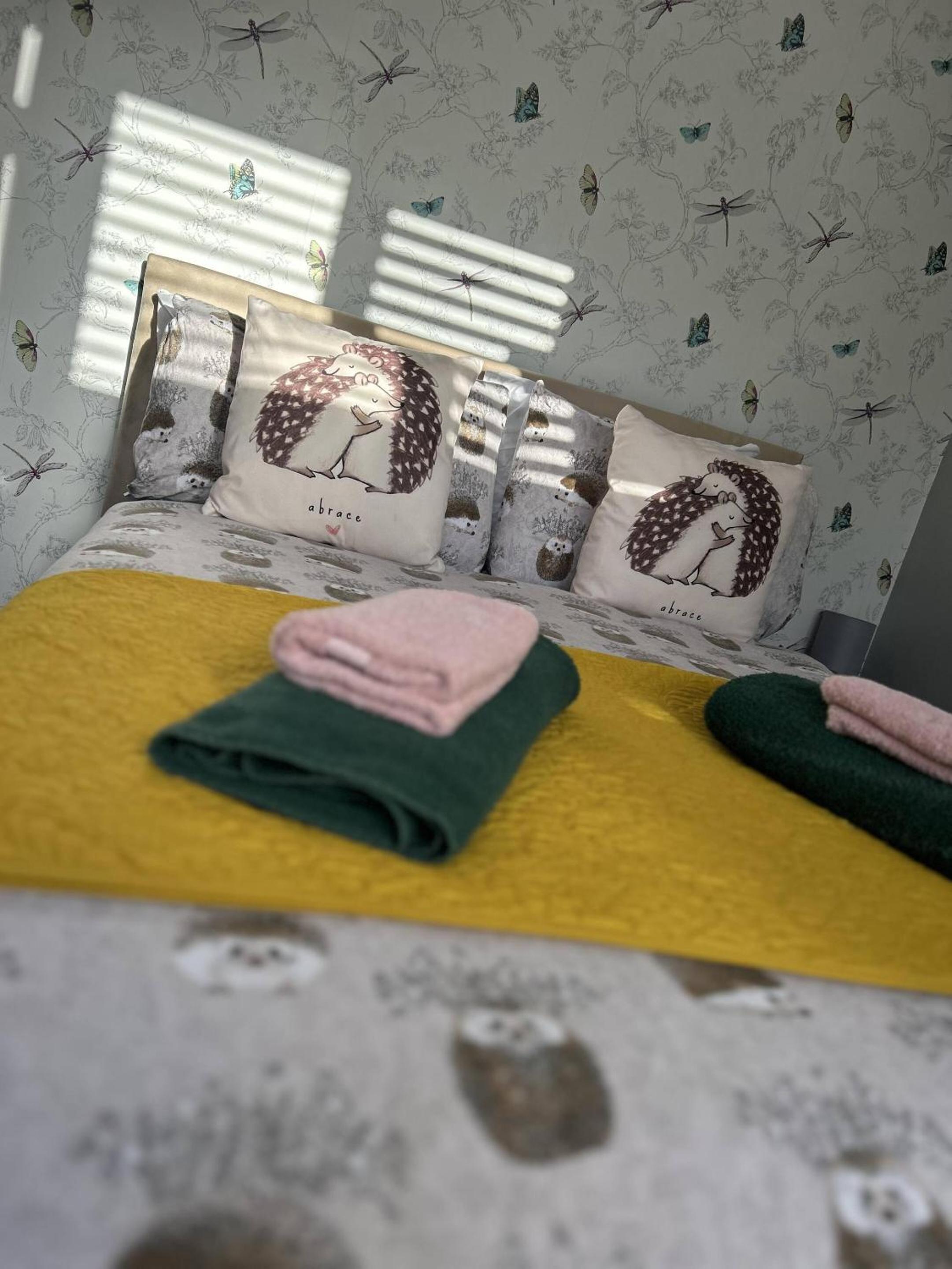 Single Room with Shower photo 1