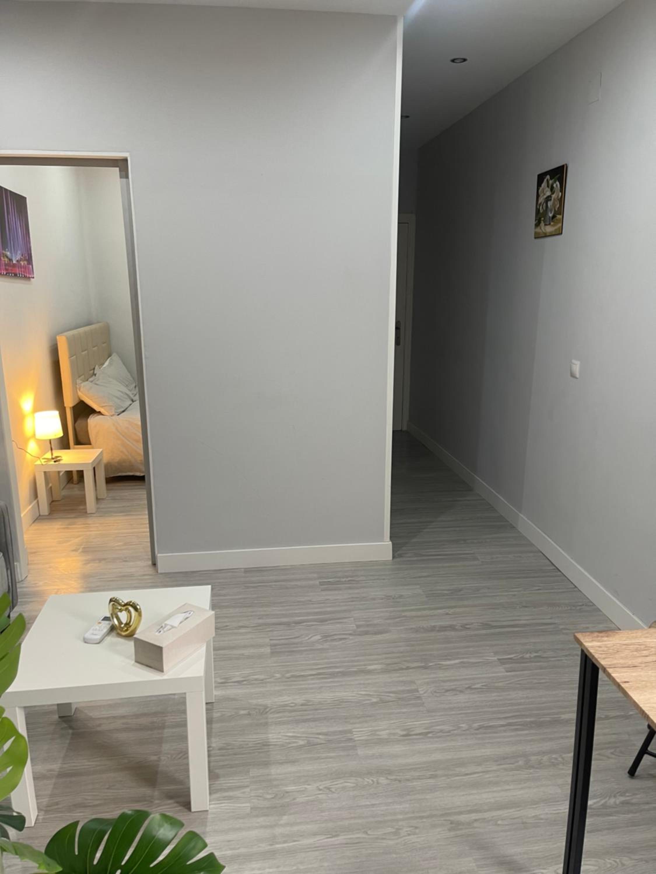 Apartamento de una habitación