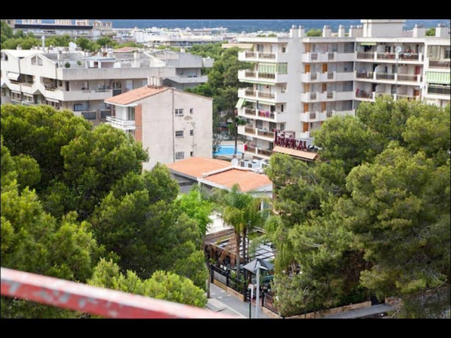 Apartment - Photo 10