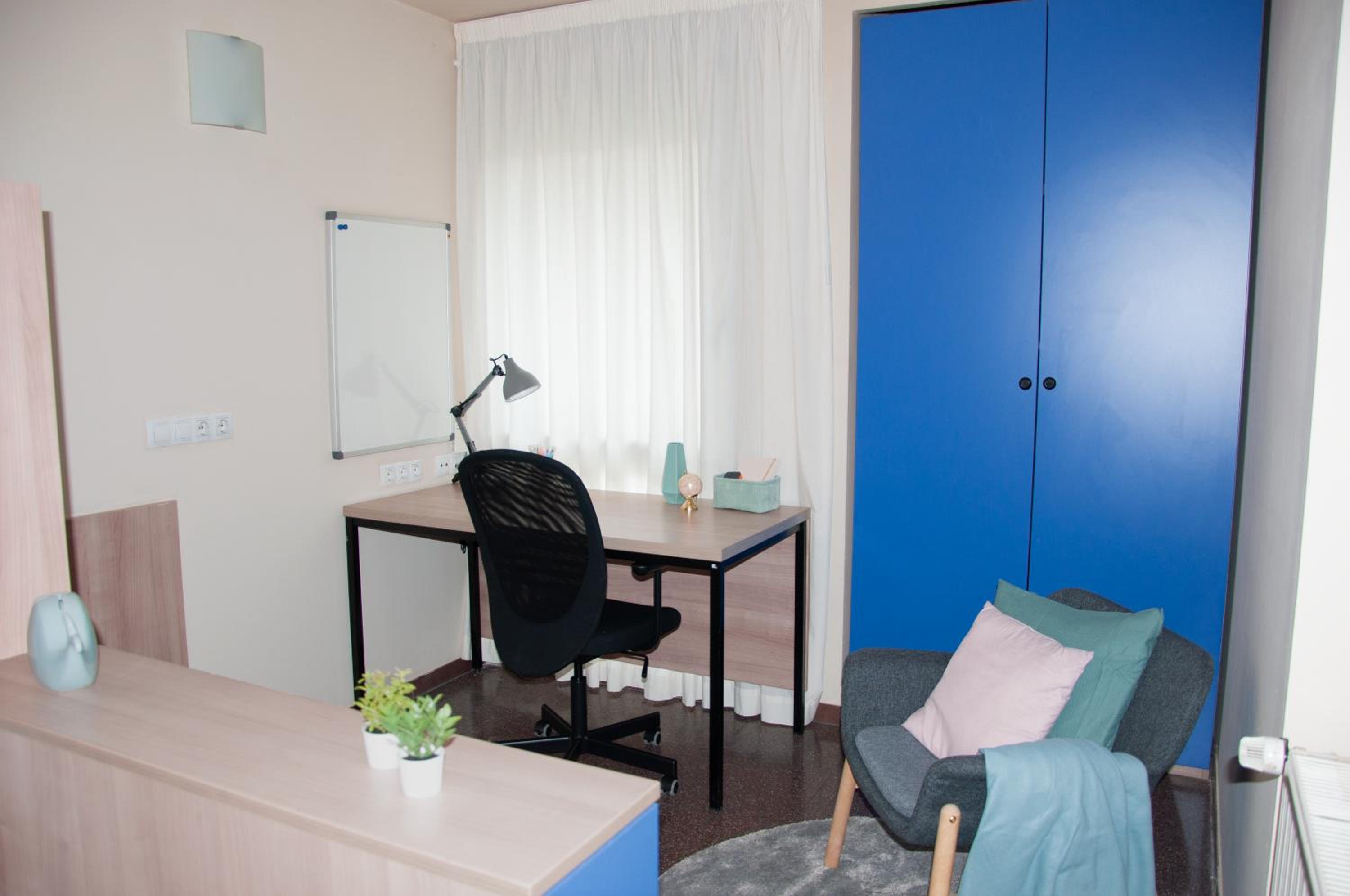 Superior Single Room photo 3
