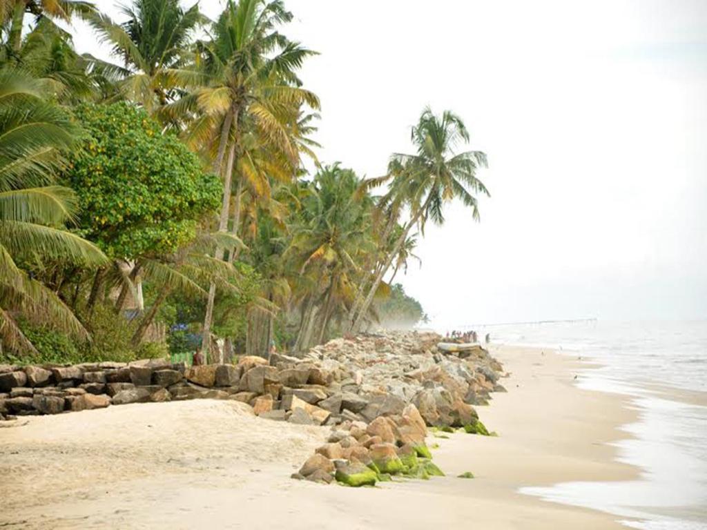 Deluxe Double or Twin Room with Ocean View photo 3