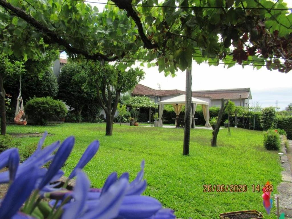 Four-Bedroom House photo 2