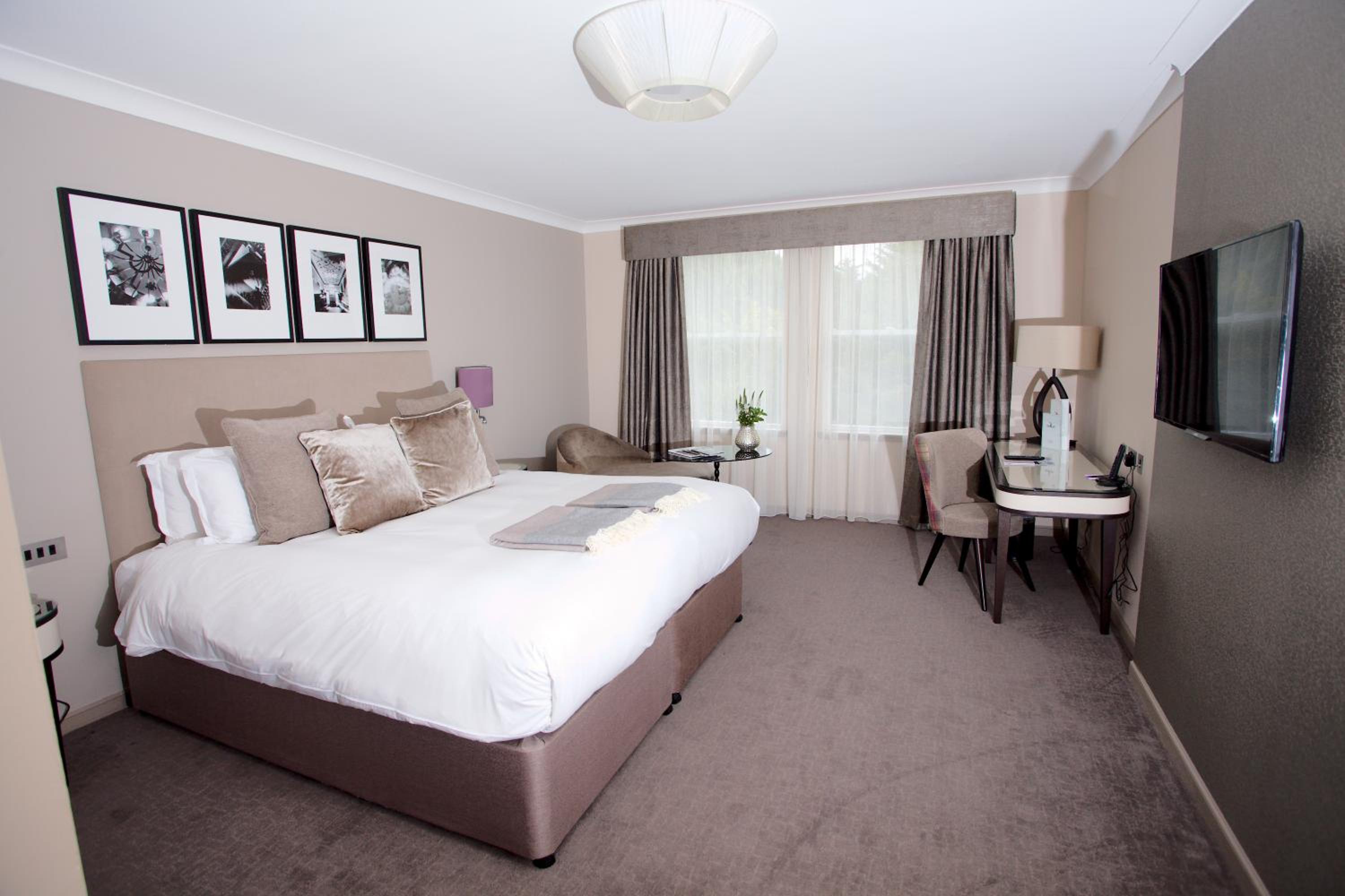 Standard Double Room- No Pets - Photo 3