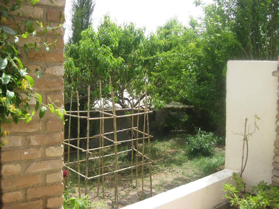 Two-Bedroom House photo 2