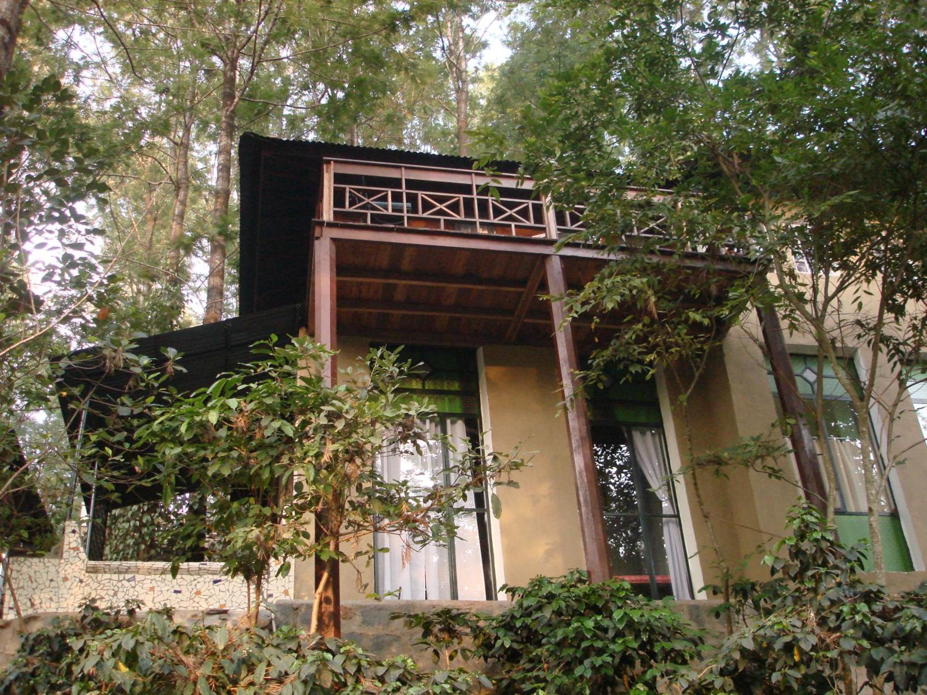 Wood House - Photo 2