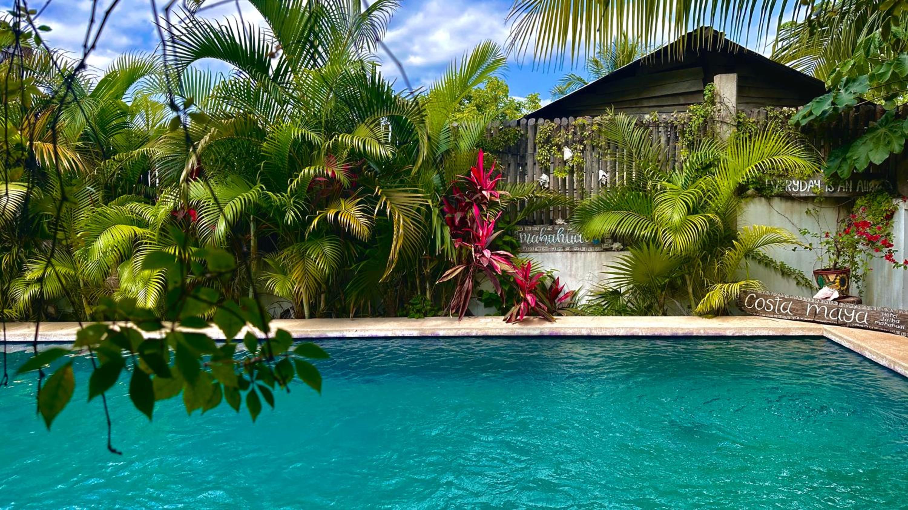 Twin Room with Pool View - Photo 31