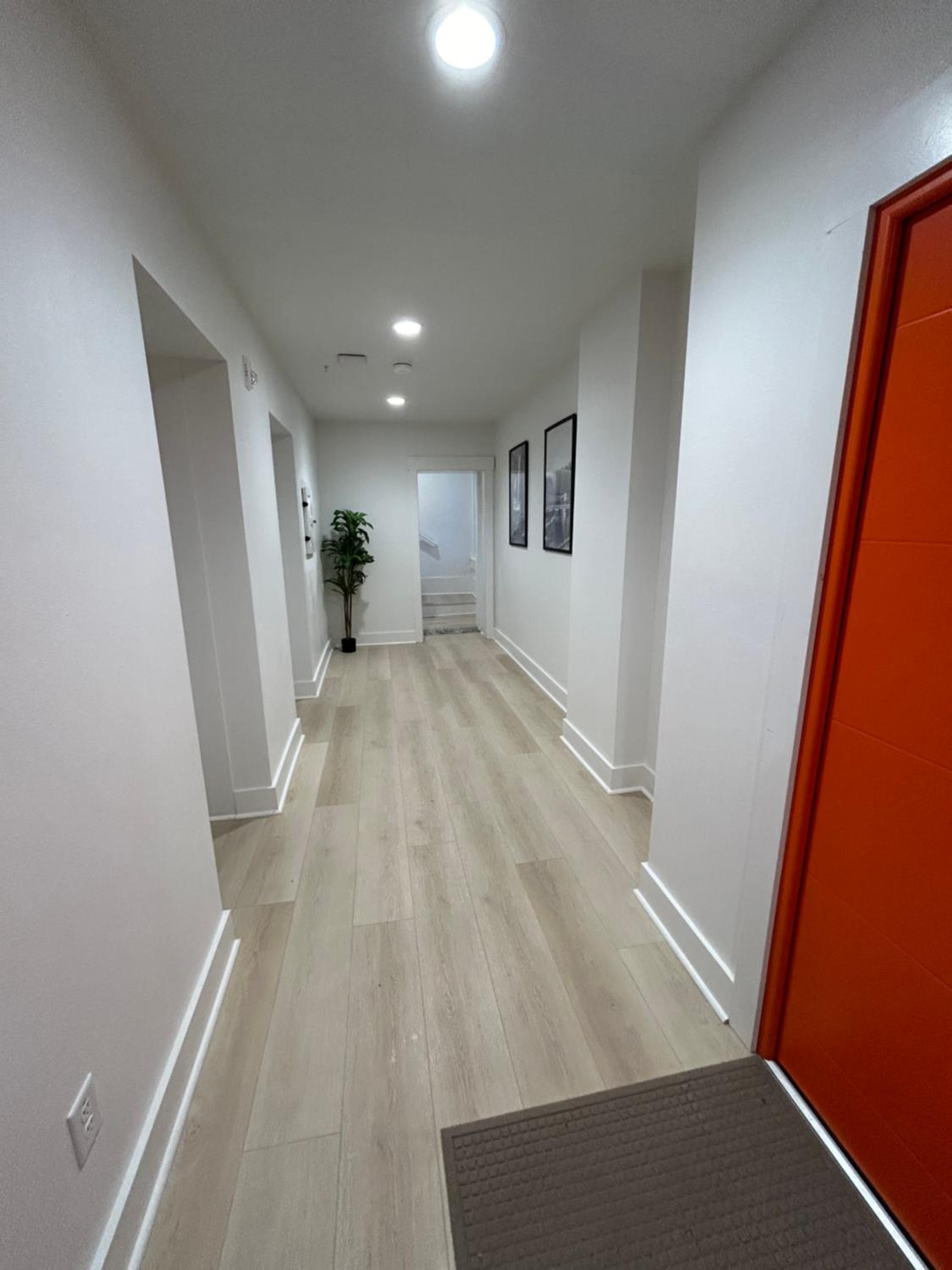 King Suite photo 1