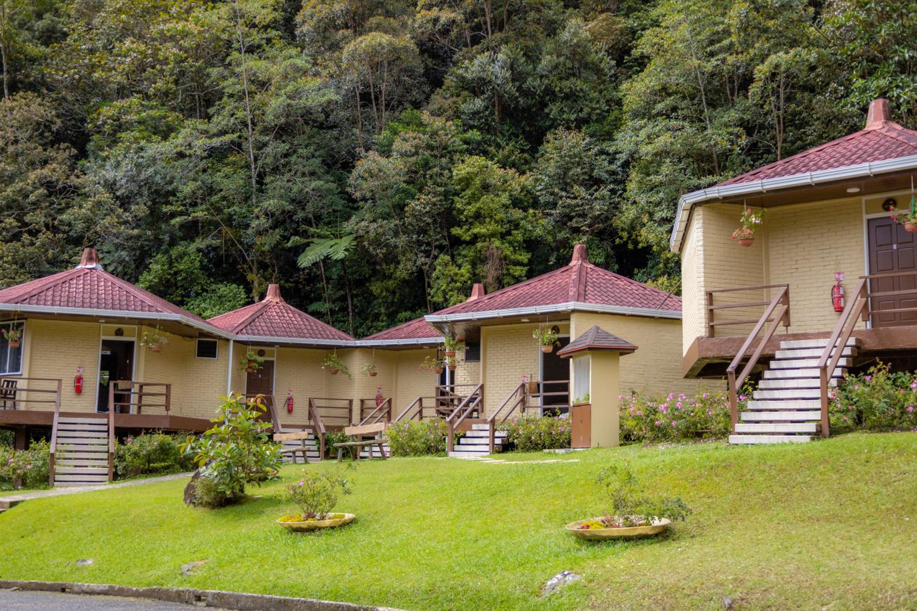 Hill Lodge Twin - Photo 1