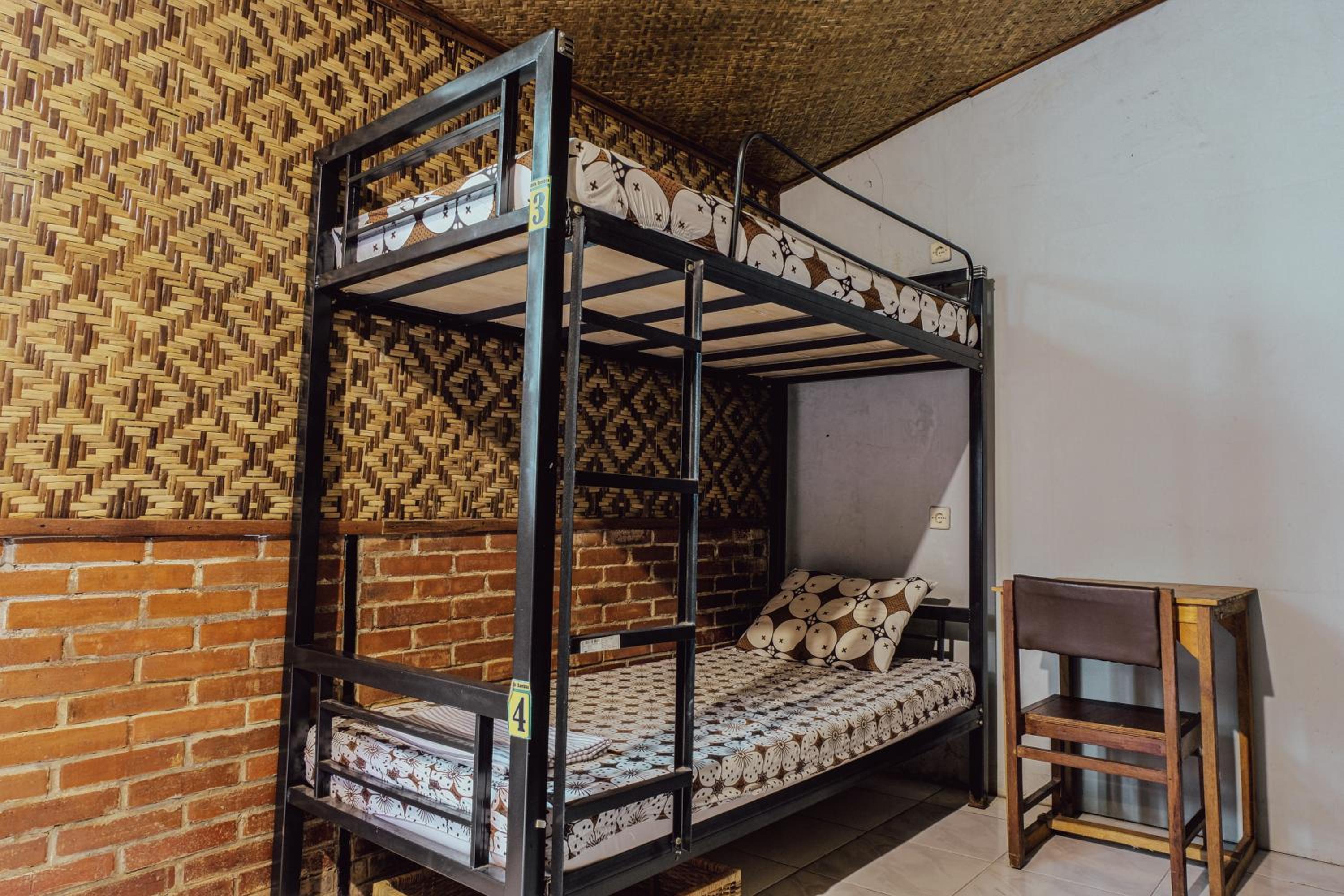 Bunk Bed in Mixed Dormitory Room photo 2