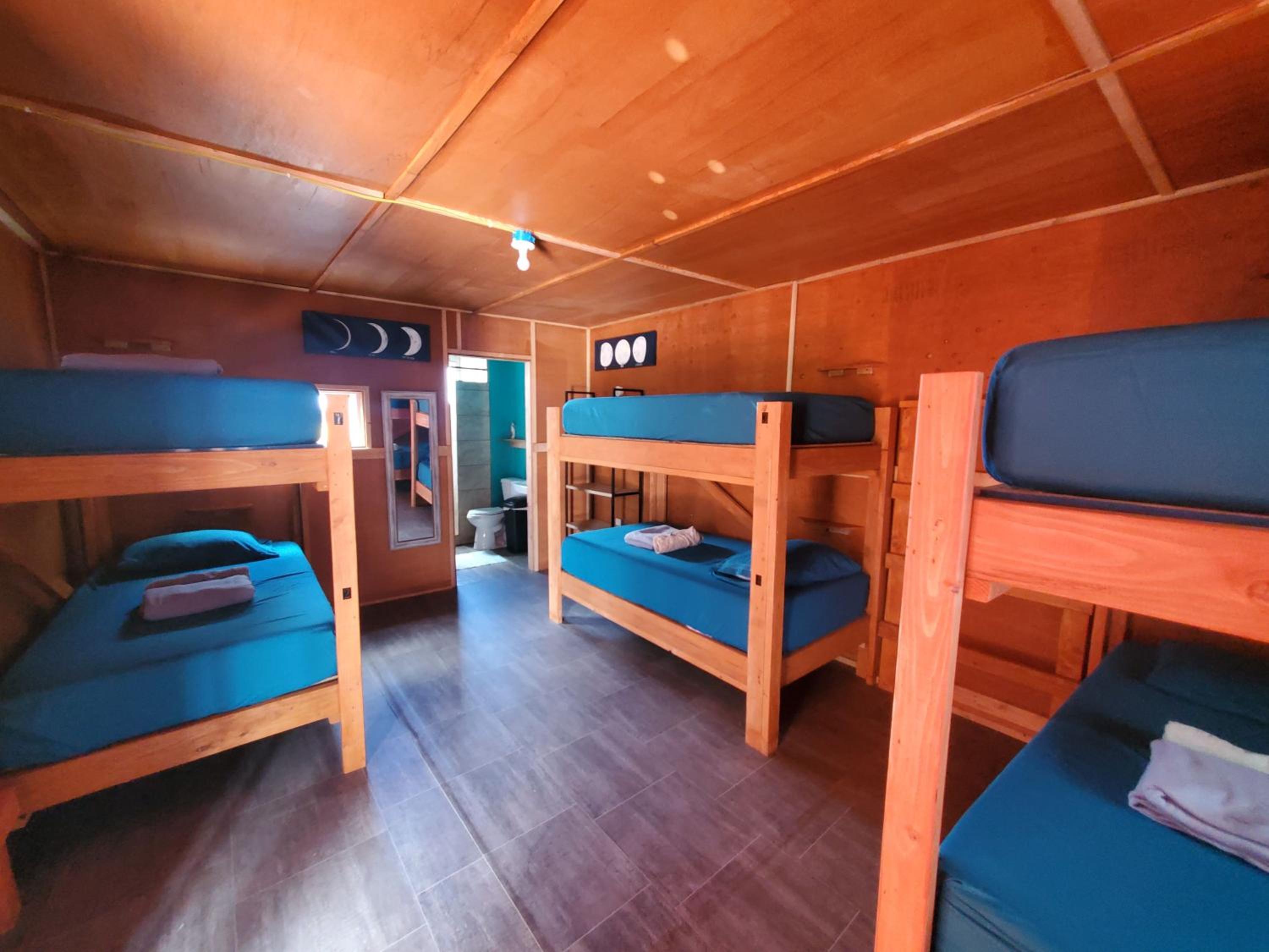 Bed in 6-Bed Female Dormitory Room photo 1