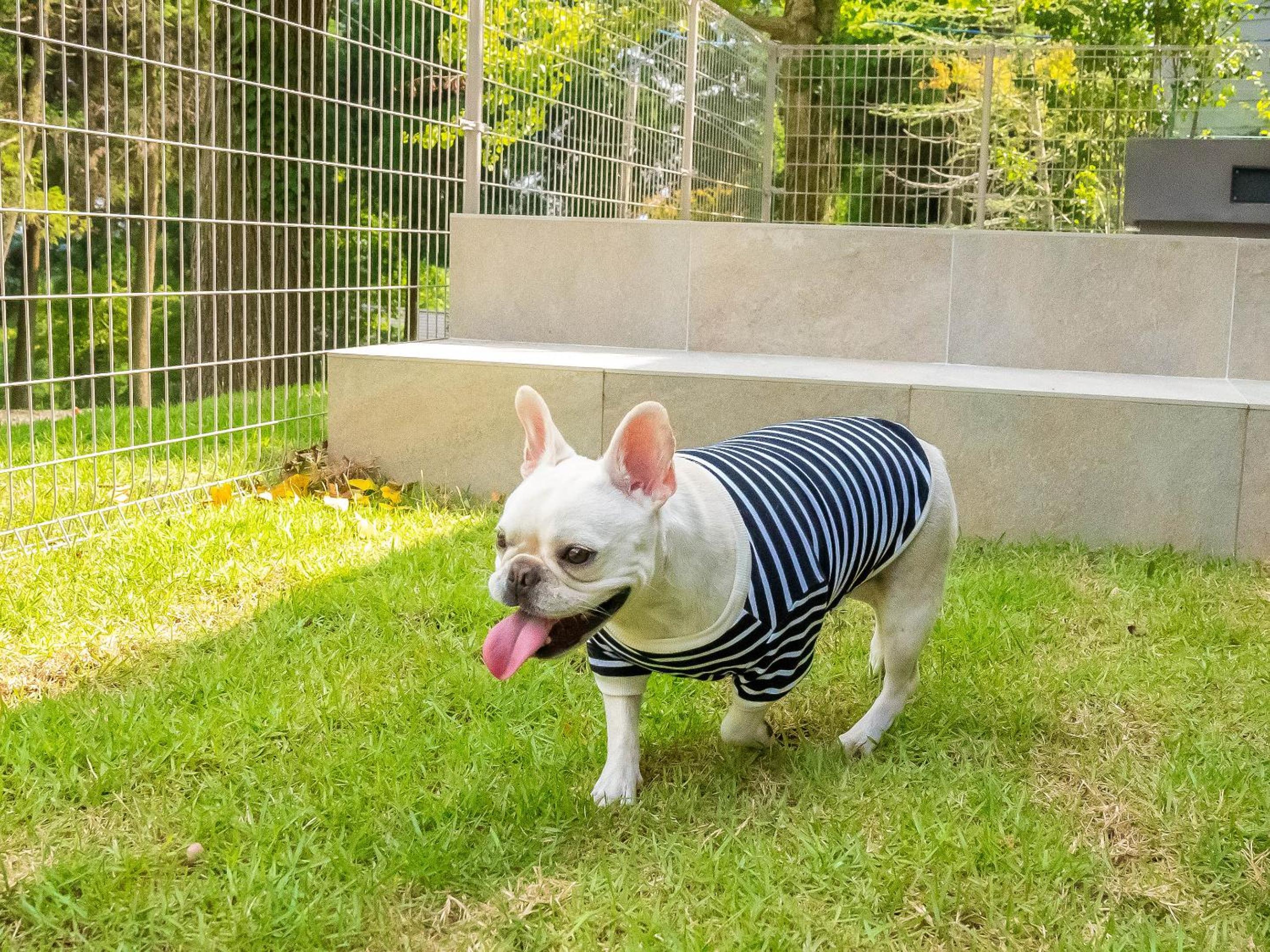 105 / Pets Allowed  - Photo 52