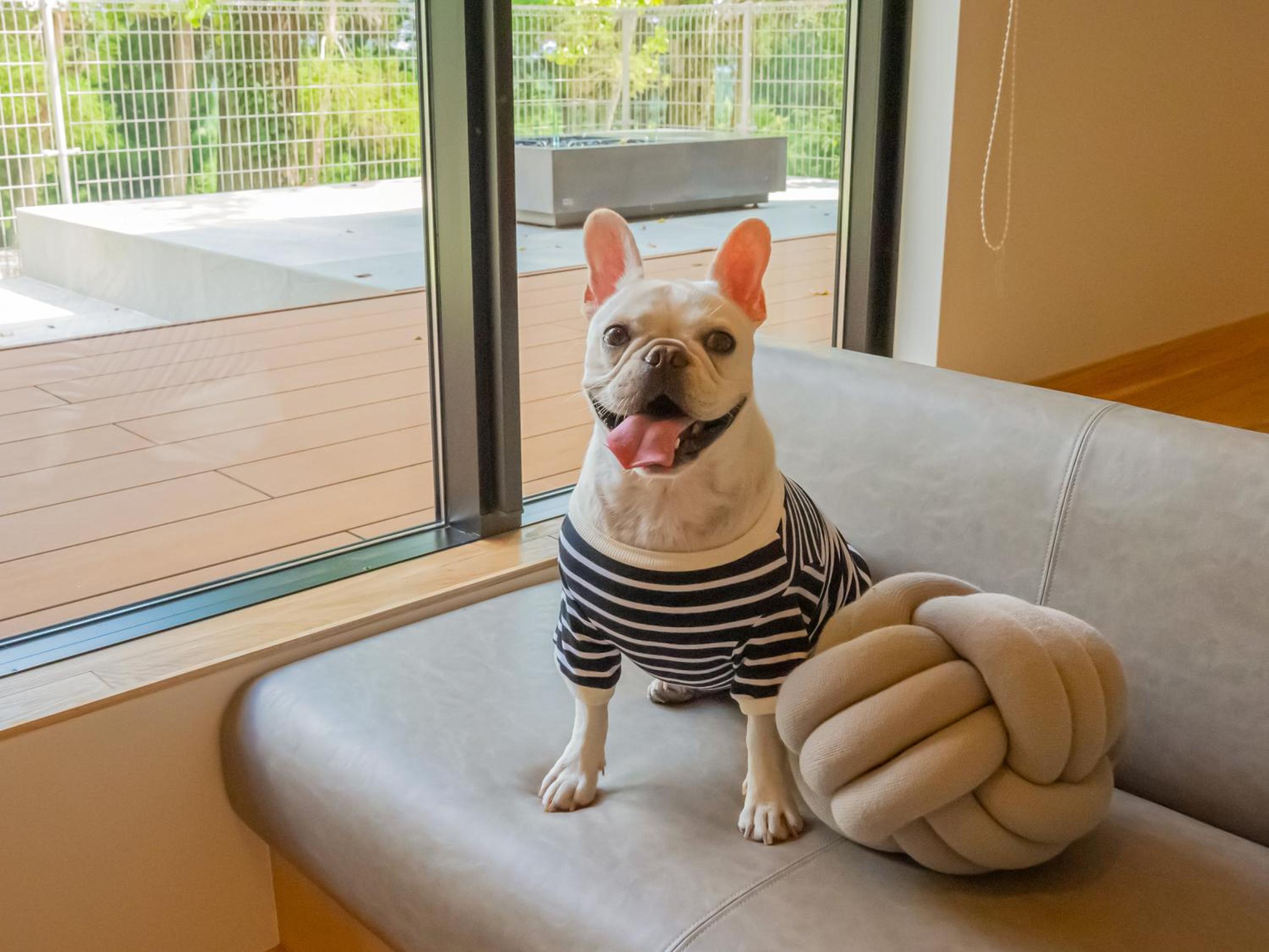 105 / Pets Allowed  - Photo 41