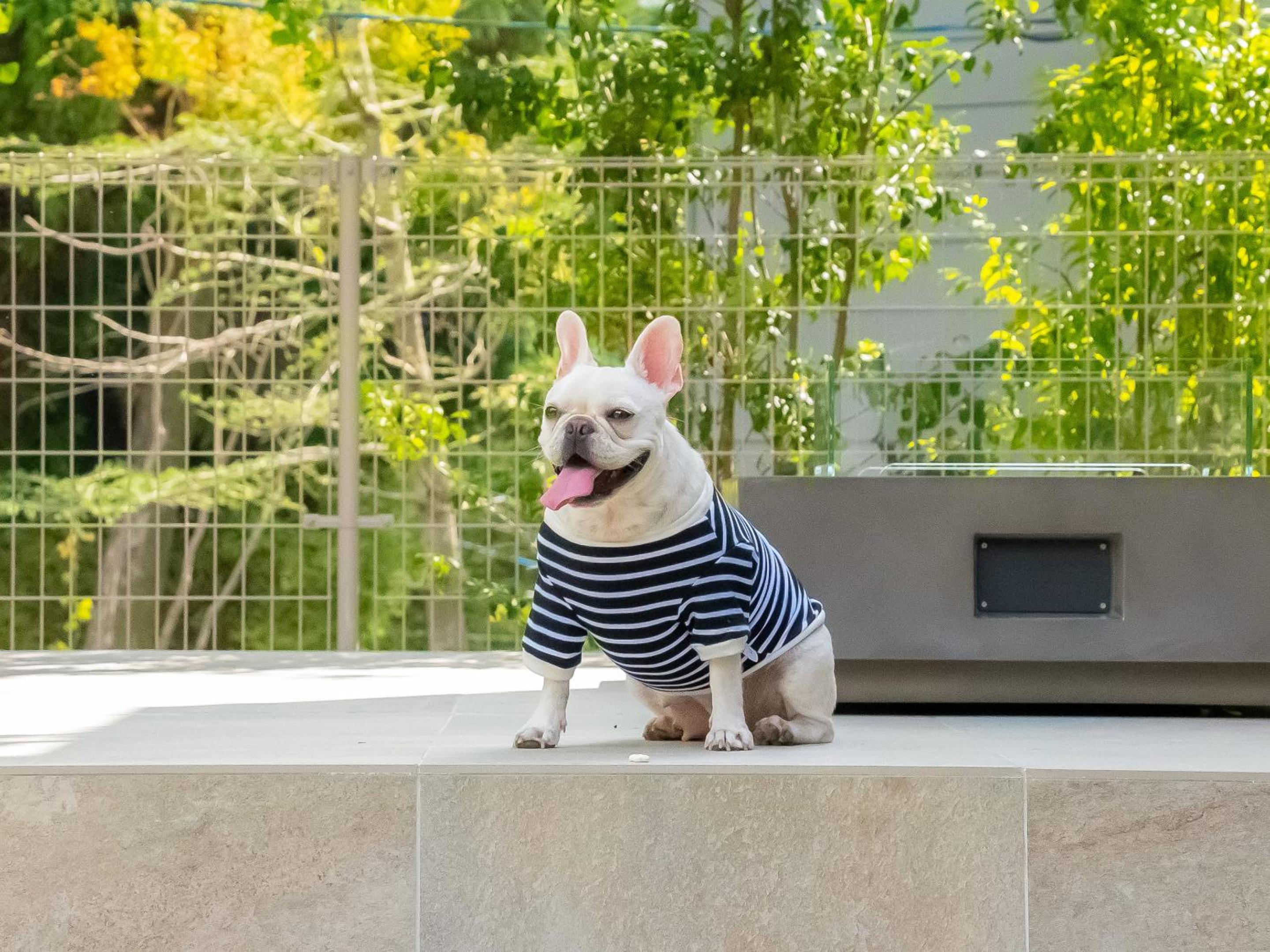 105 / Pets Allowed  - Photo 53