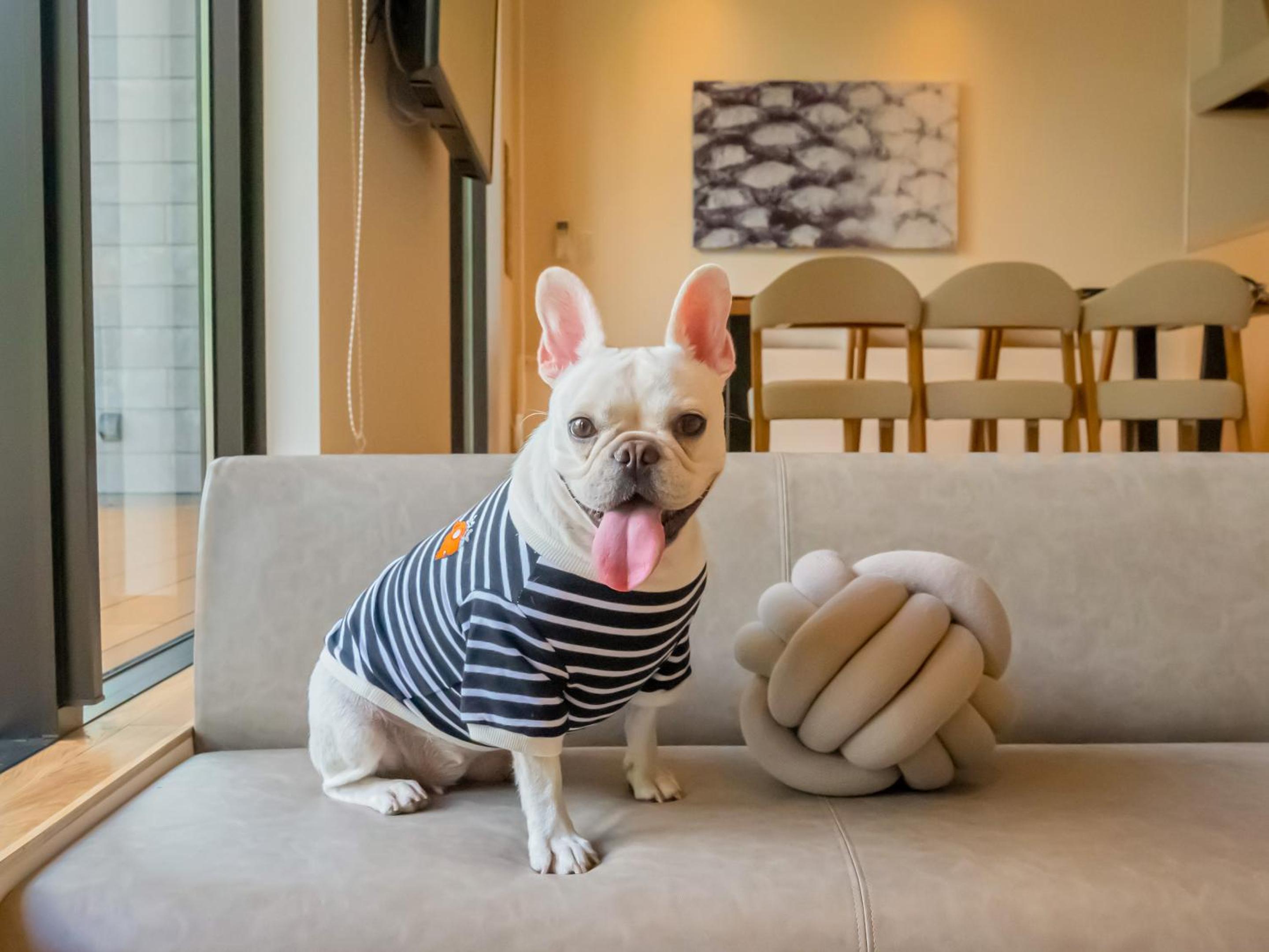 105 / Pets Allowed  - Photo 43