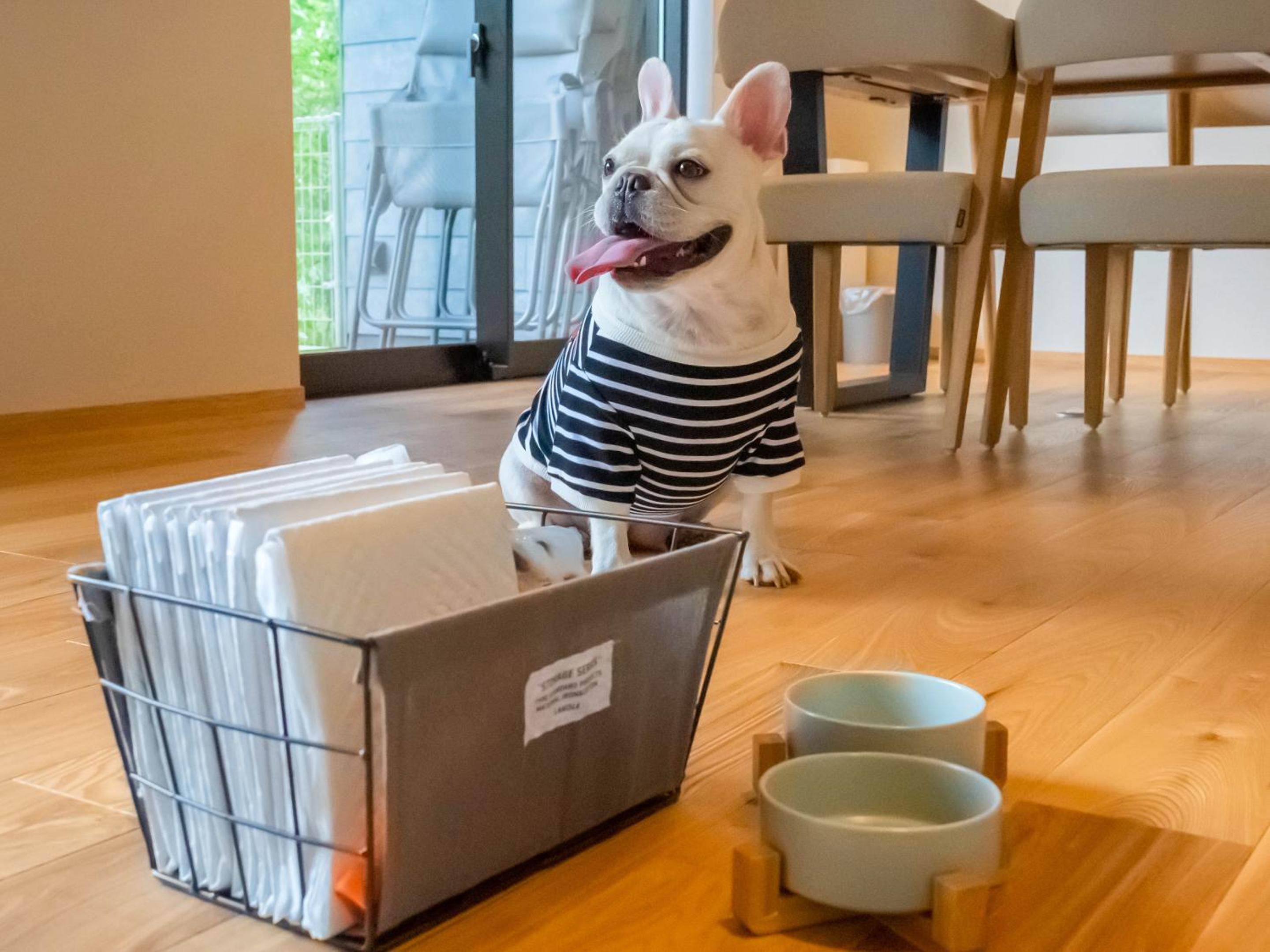 105 / Pets Allowed  - Photo 40