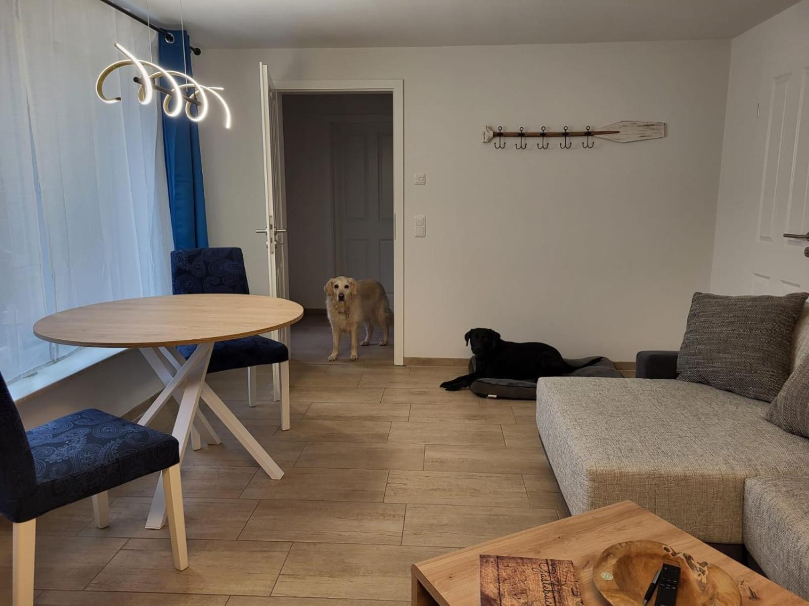 Apartment with Terrace photo 3