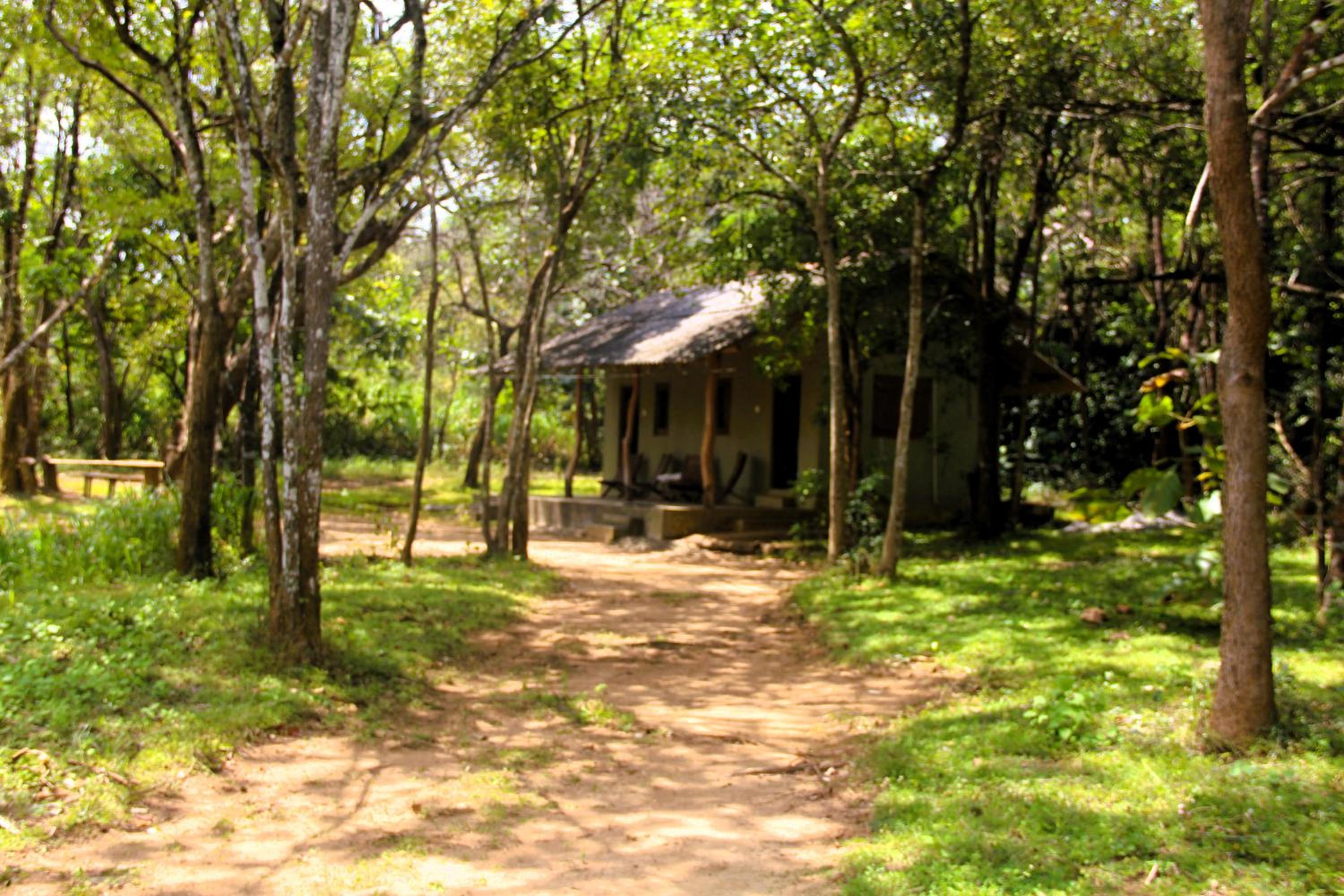 Cottage (3 Adults) photo 1