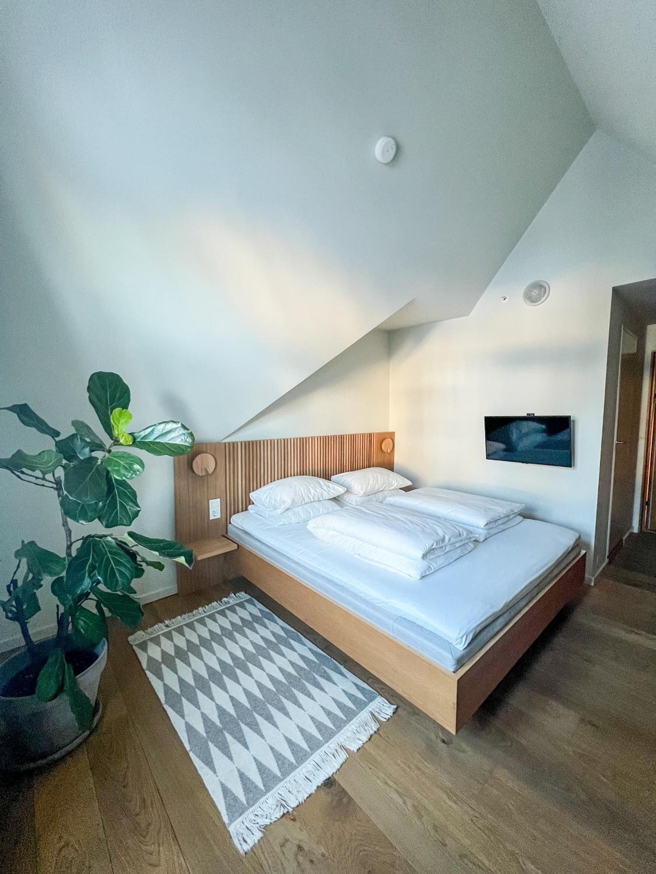 Standard Double Room - Photo 1