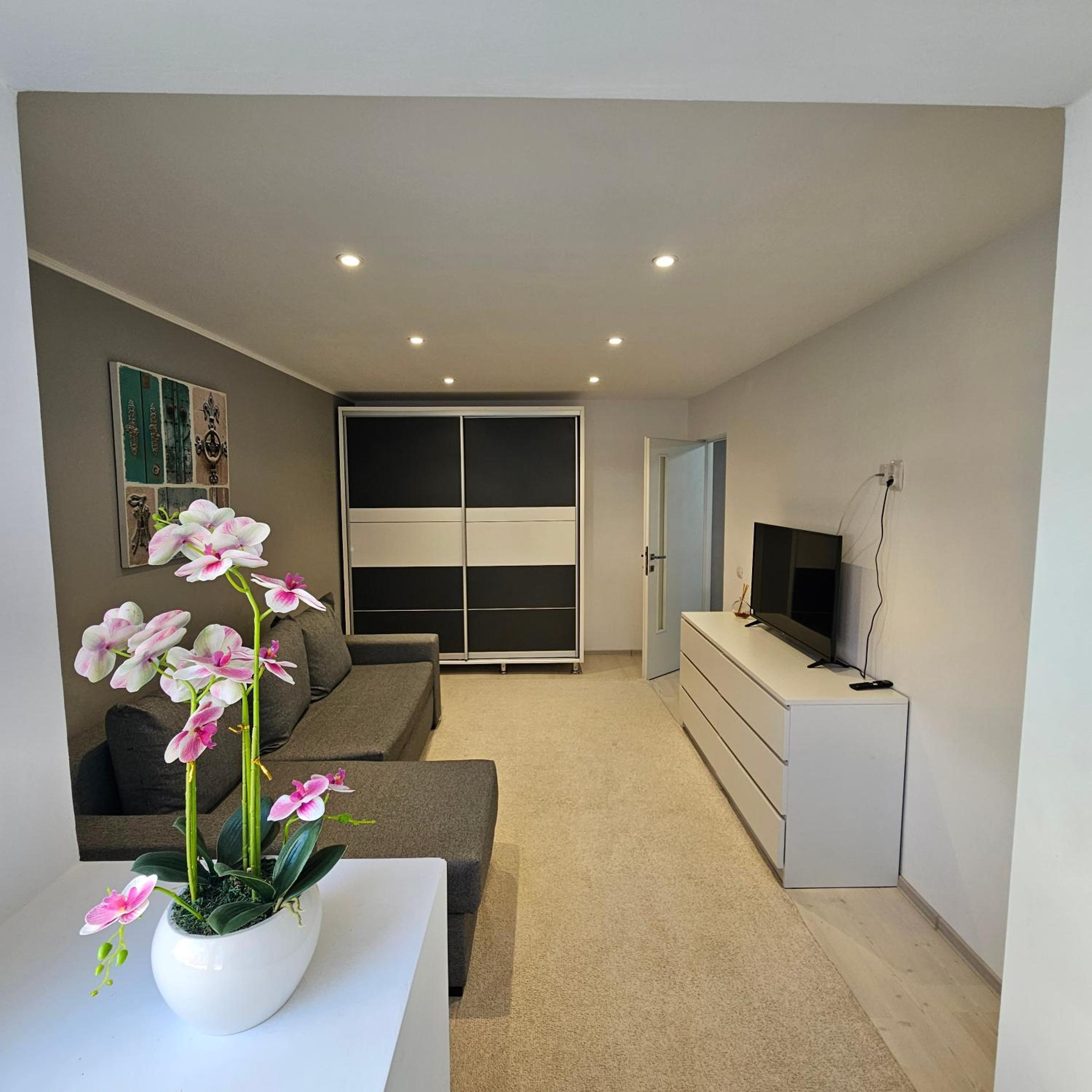 Standard Apartment photo 1