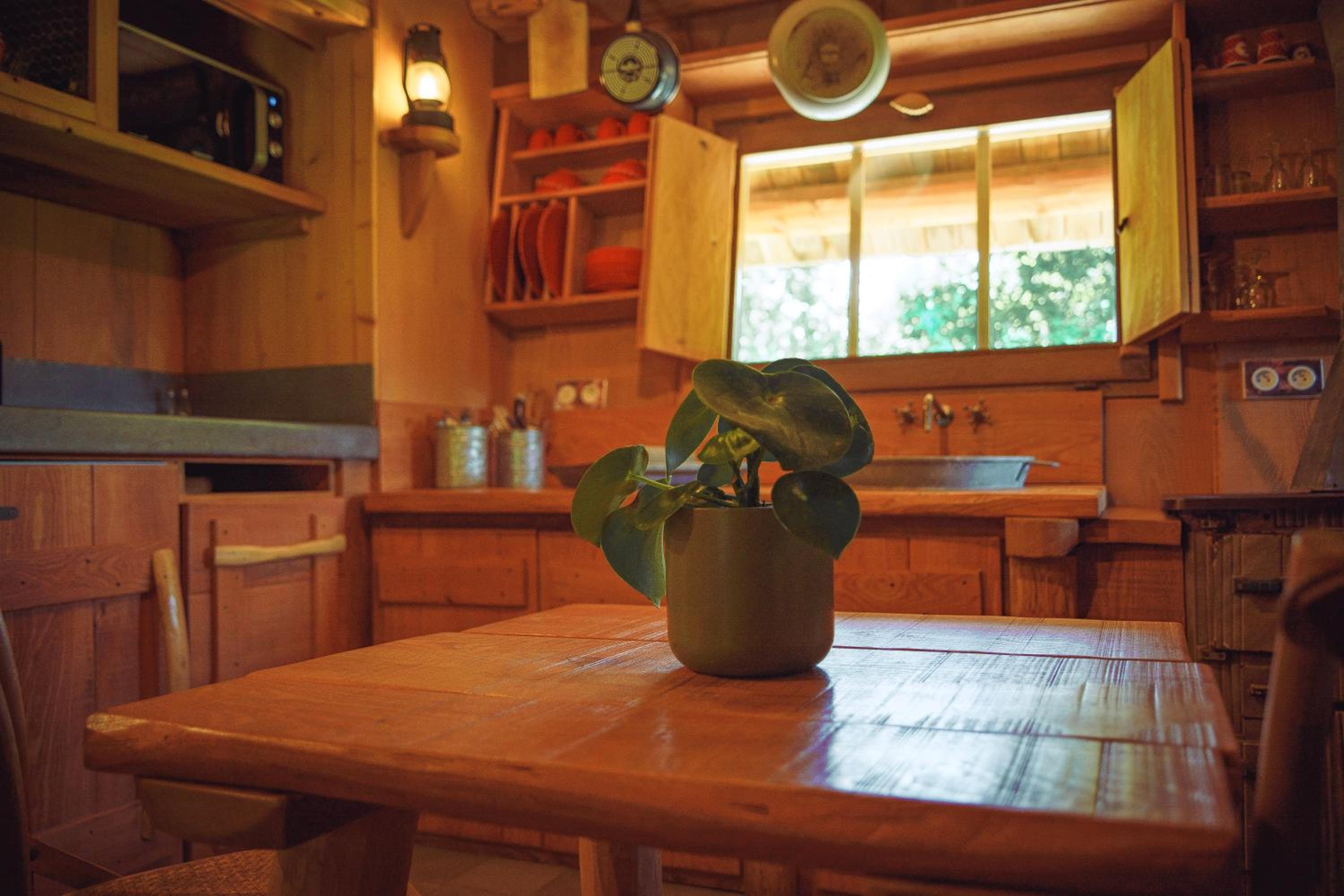 Trapper Cabin photo 2