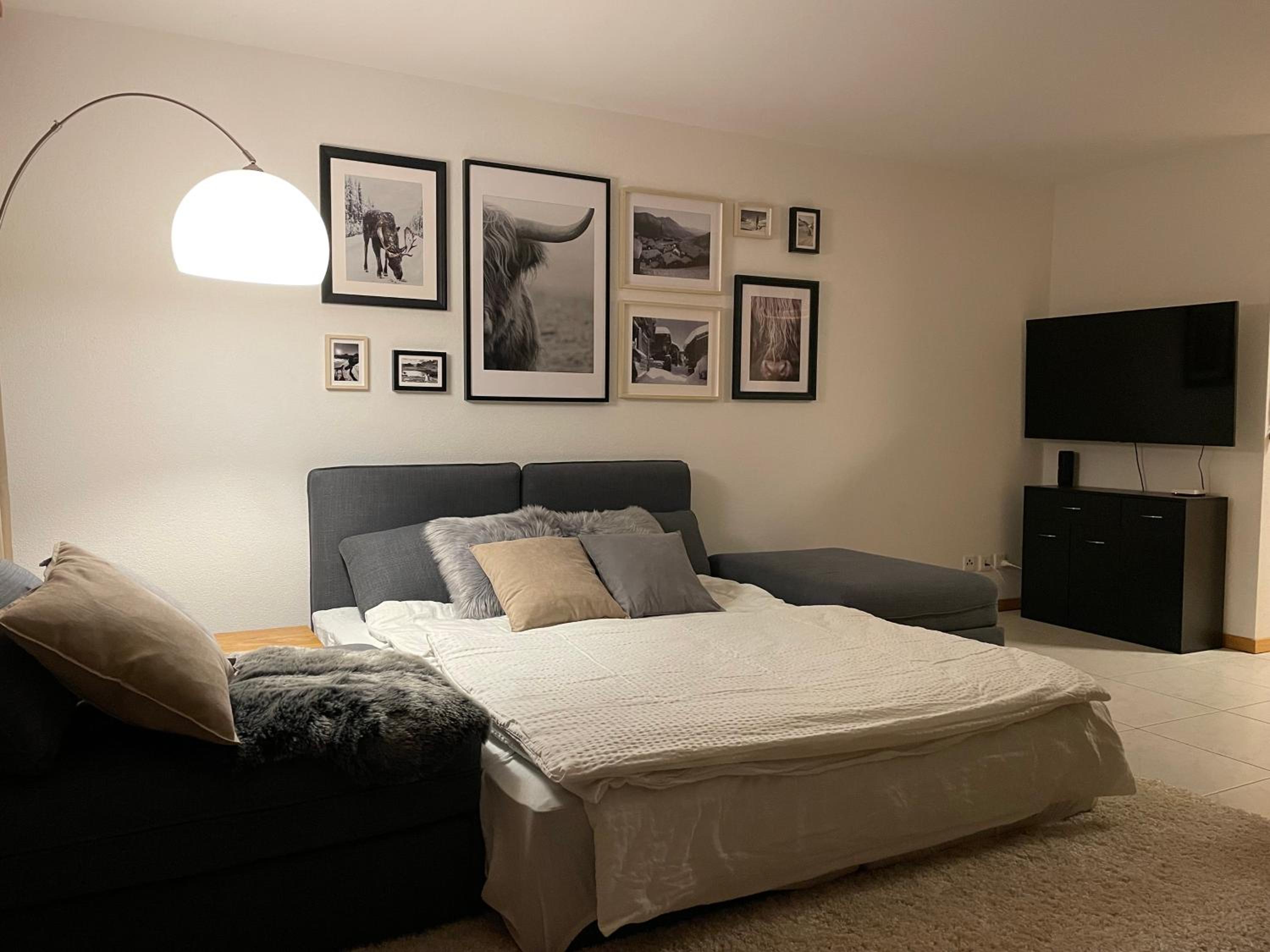 One-Bedroom Apartment photo 2