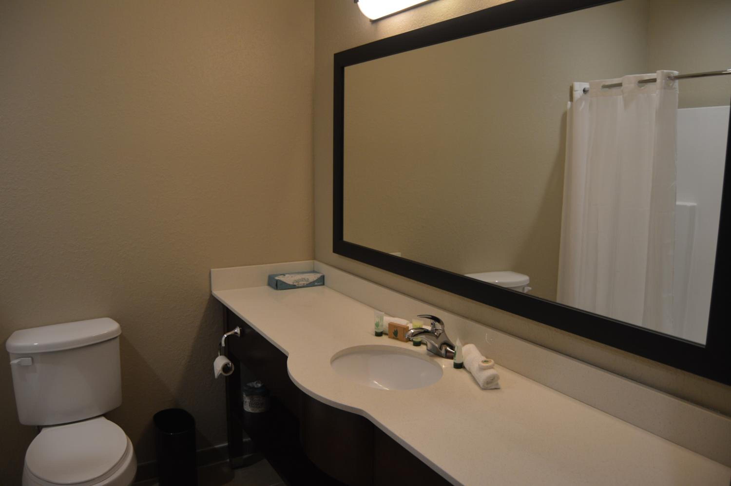 King Room photo 3