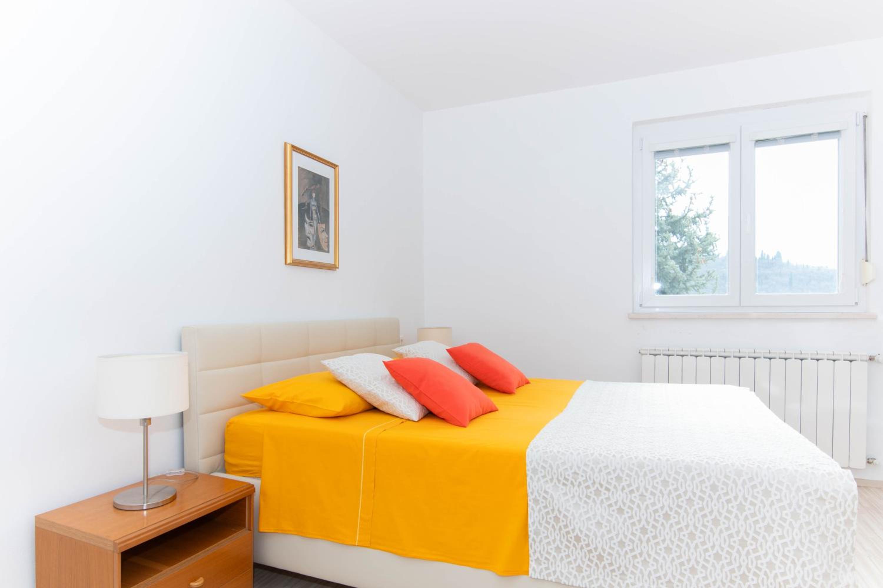 Apartment with Terrace photo 1