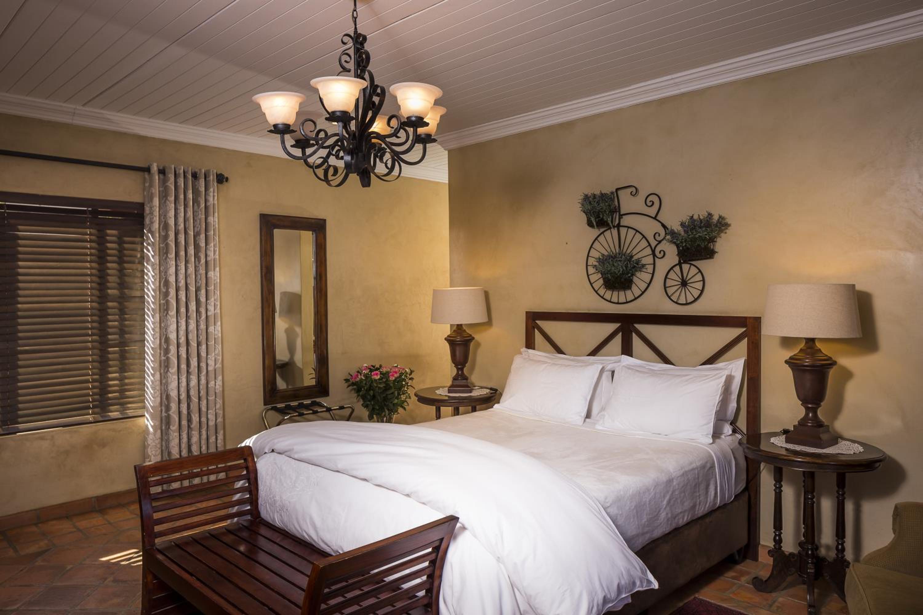 Suite - Photo 1